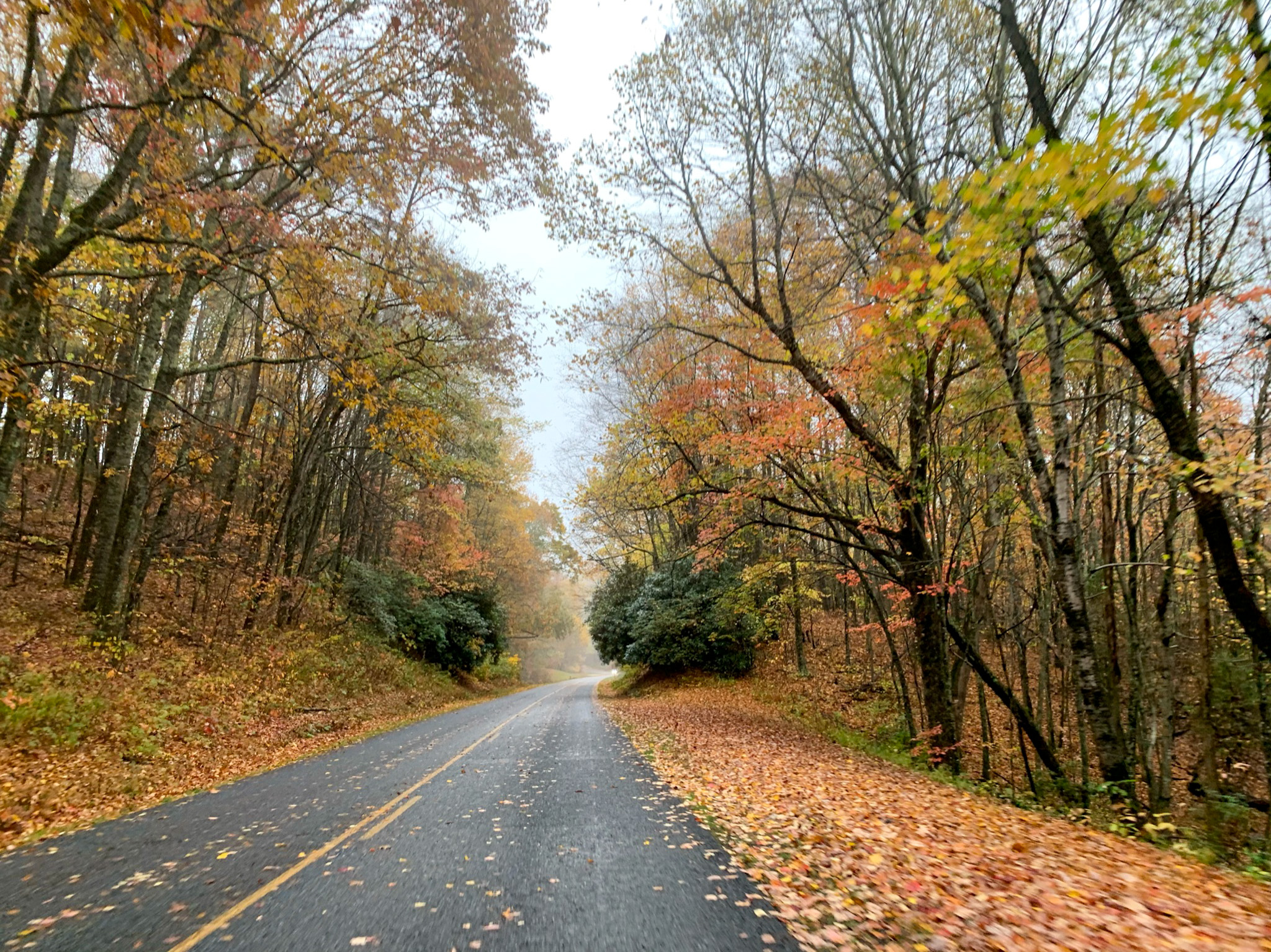 scenic blue ridge parkway fall foliage road