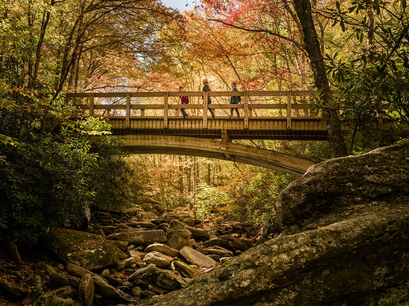 Boone Fork Trail autumn