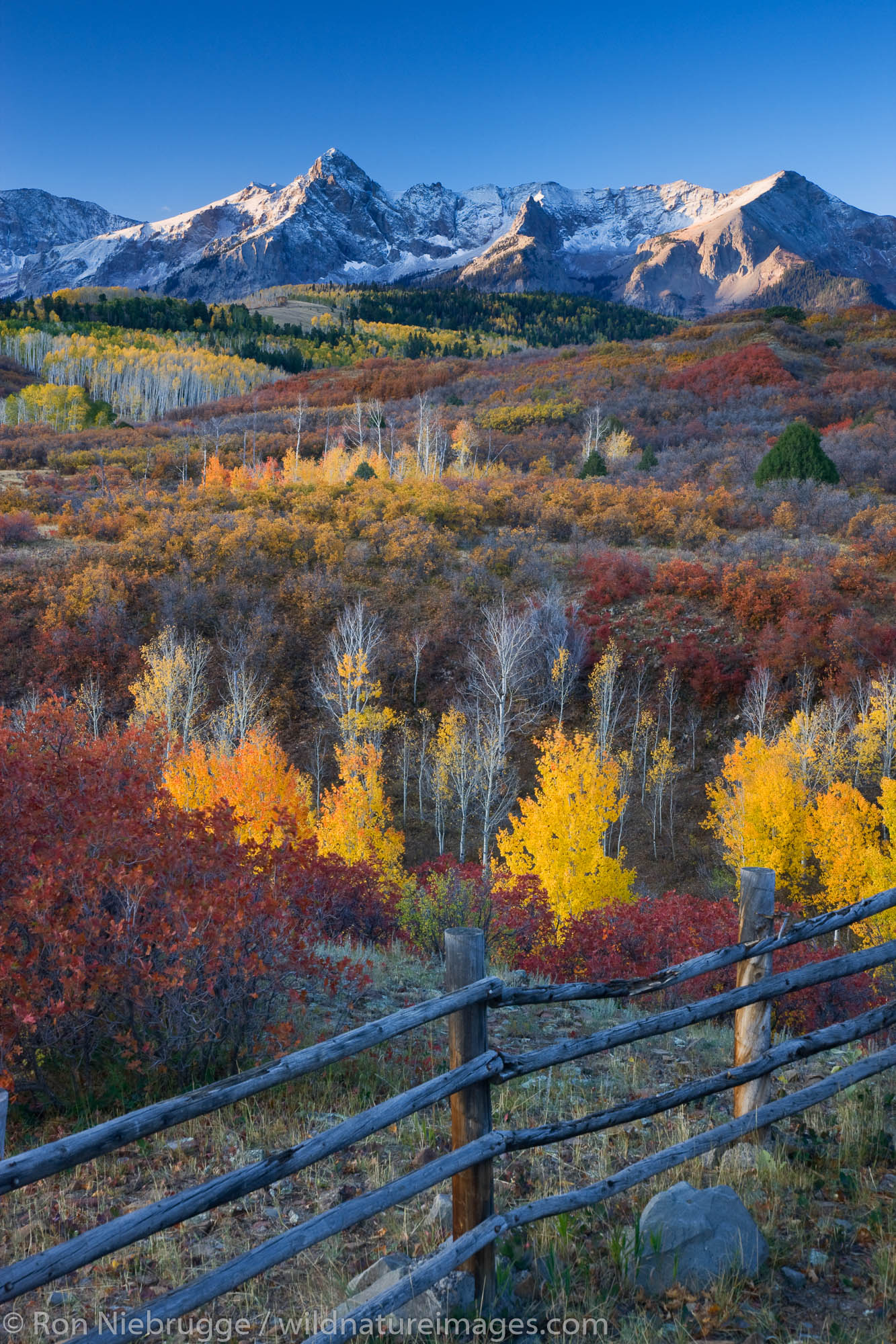 Dallas Divide fall colors