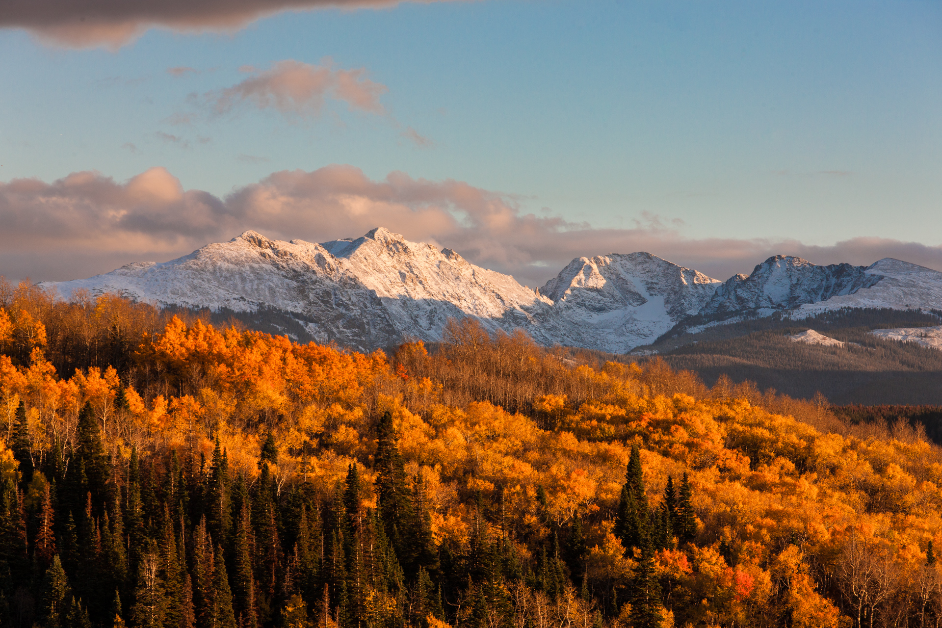 Vail Pass fall foliage