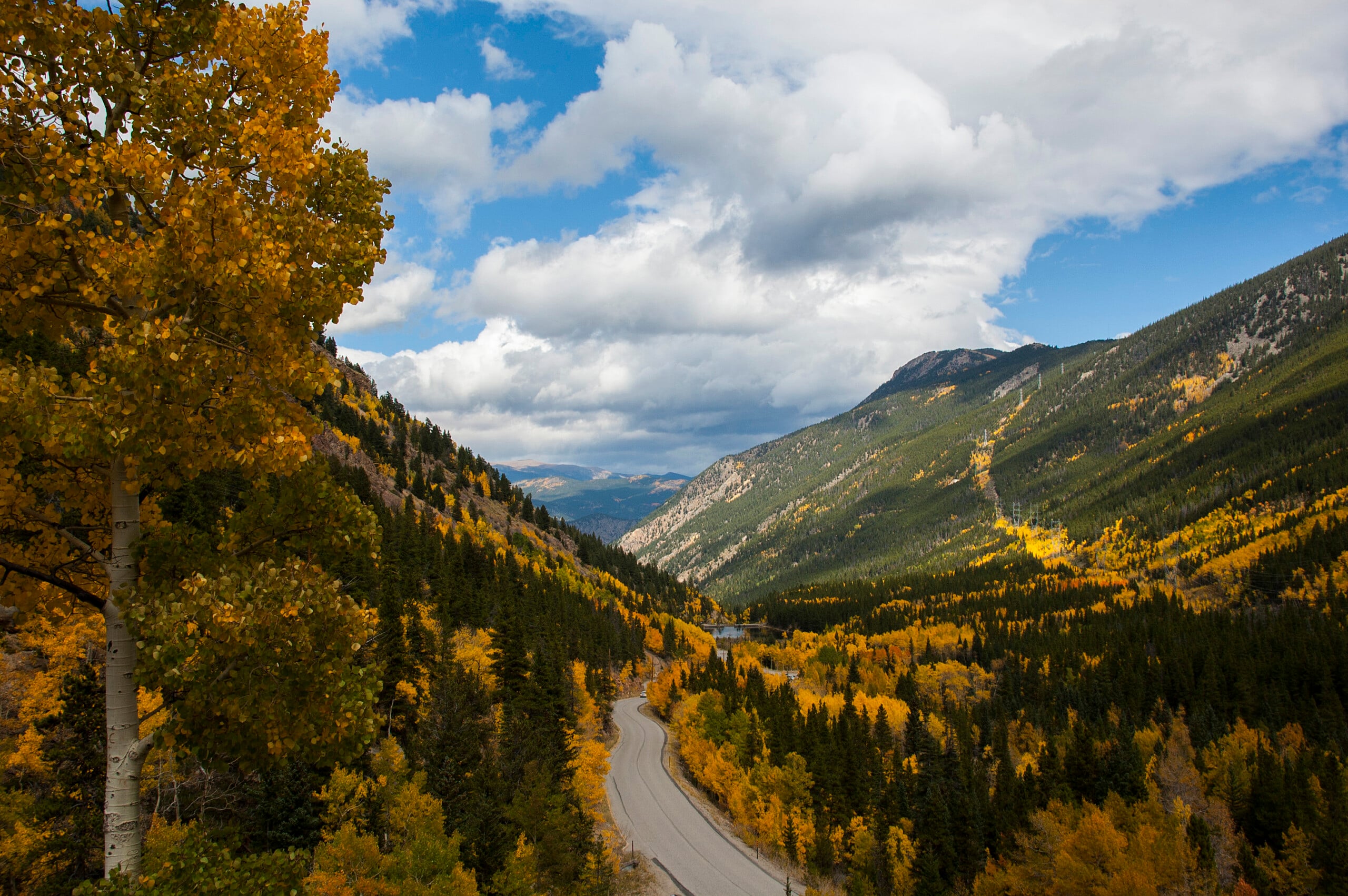 Colorado fall foliage mountain road