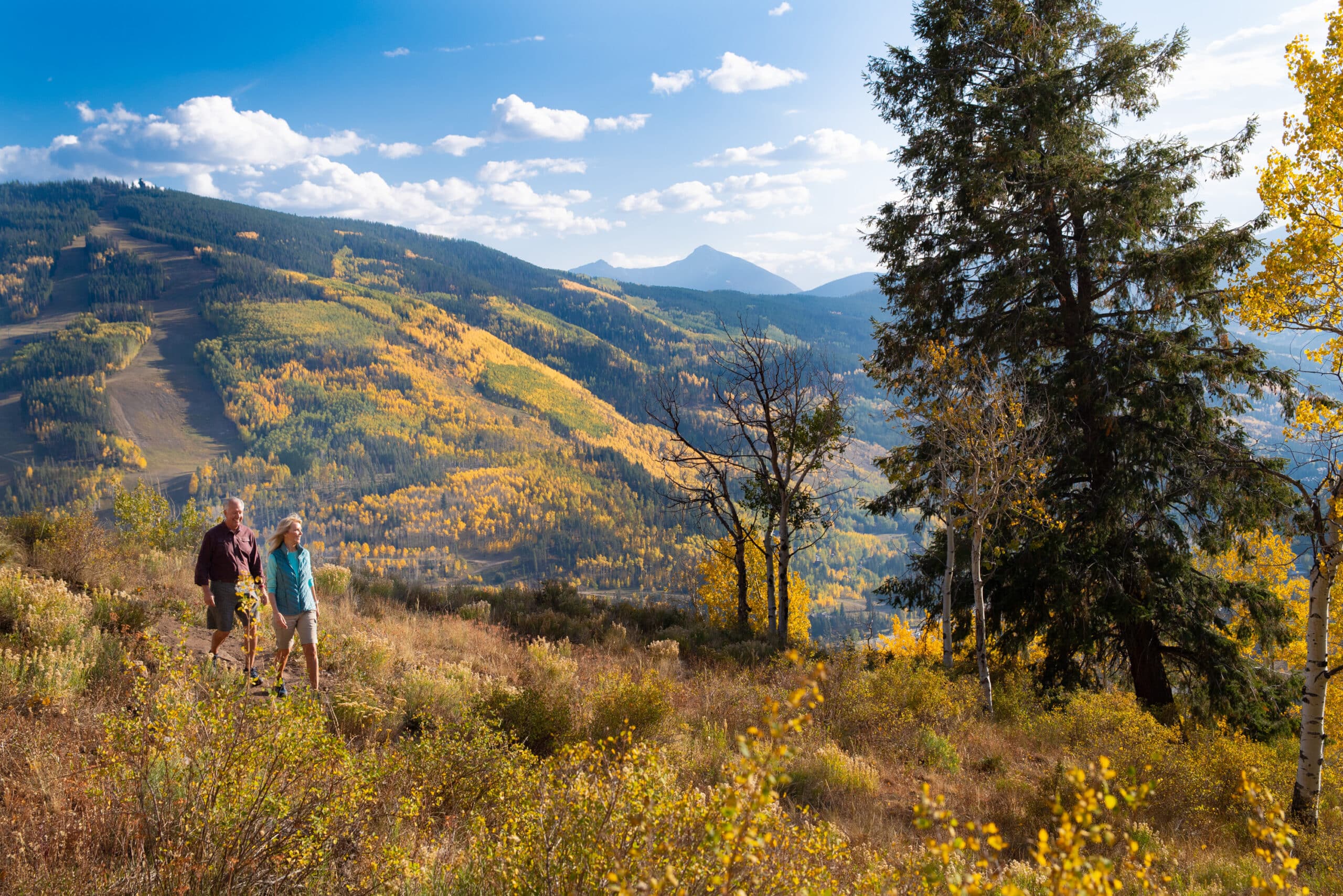 Vail Colorado fall foliage