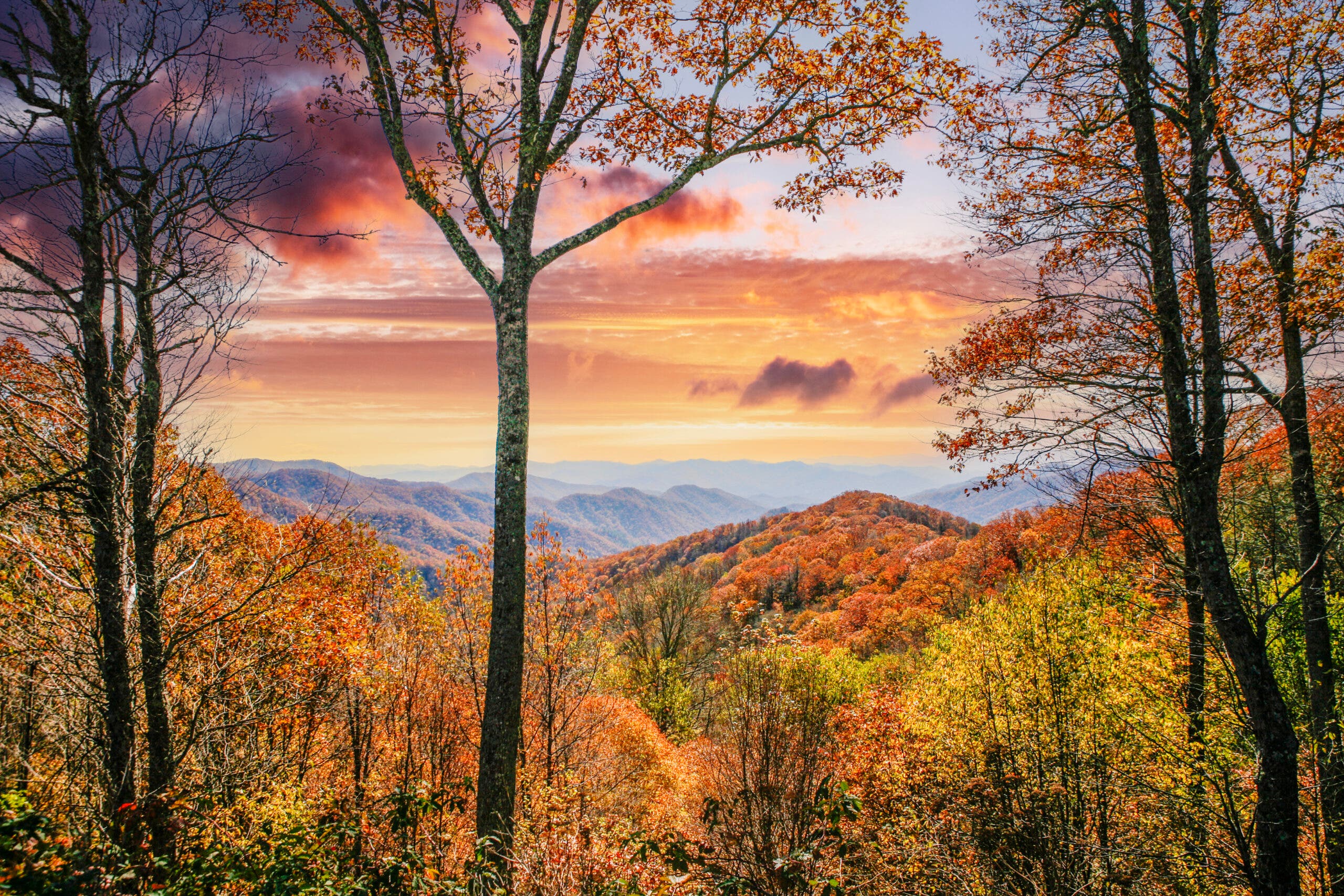 national parks for fall colors