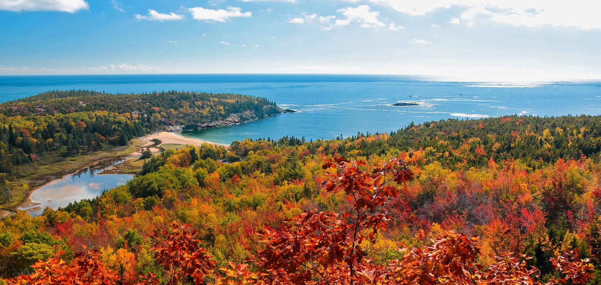 Acadia National Park fall colors