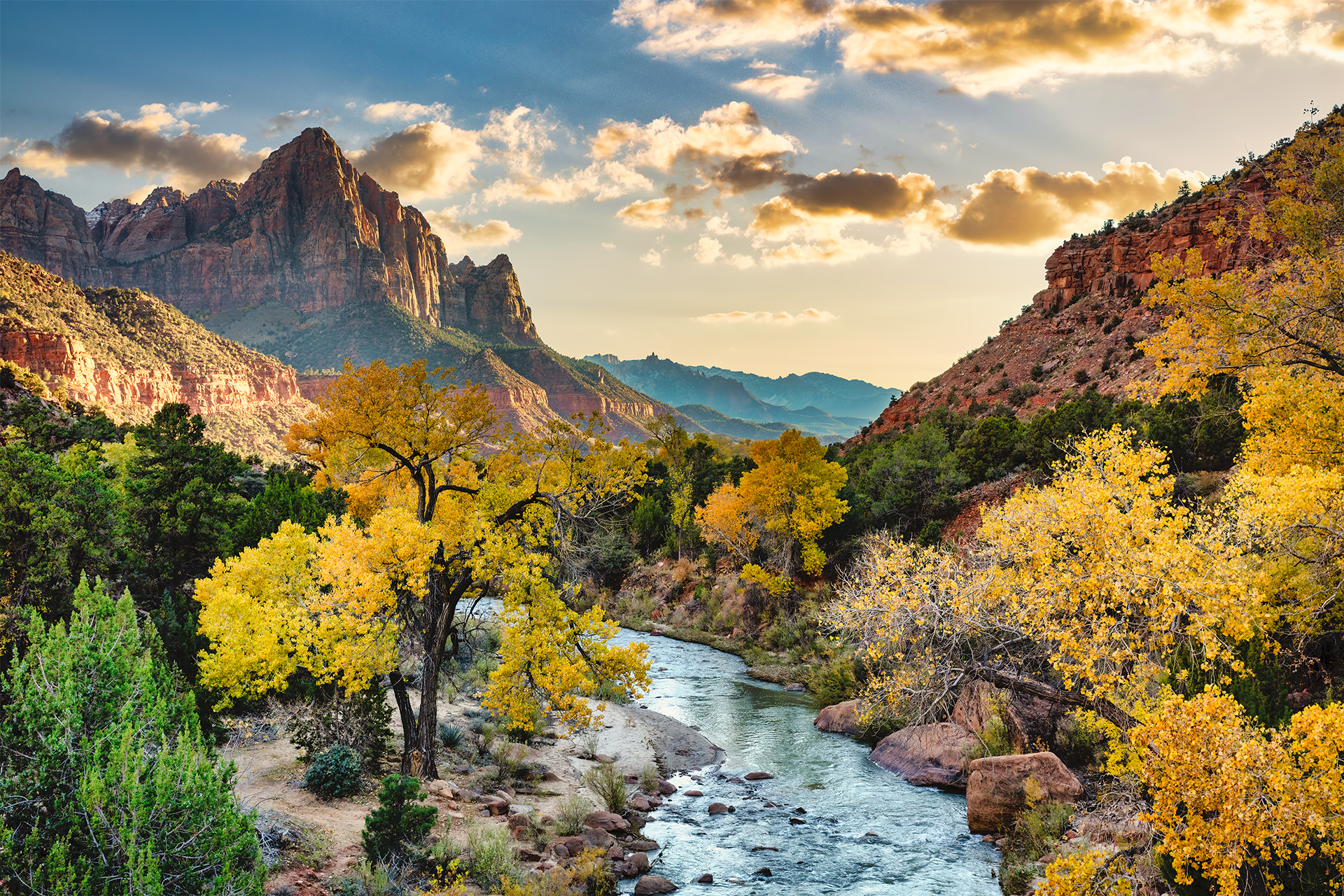 zion-national-park-fall-cottonwoods