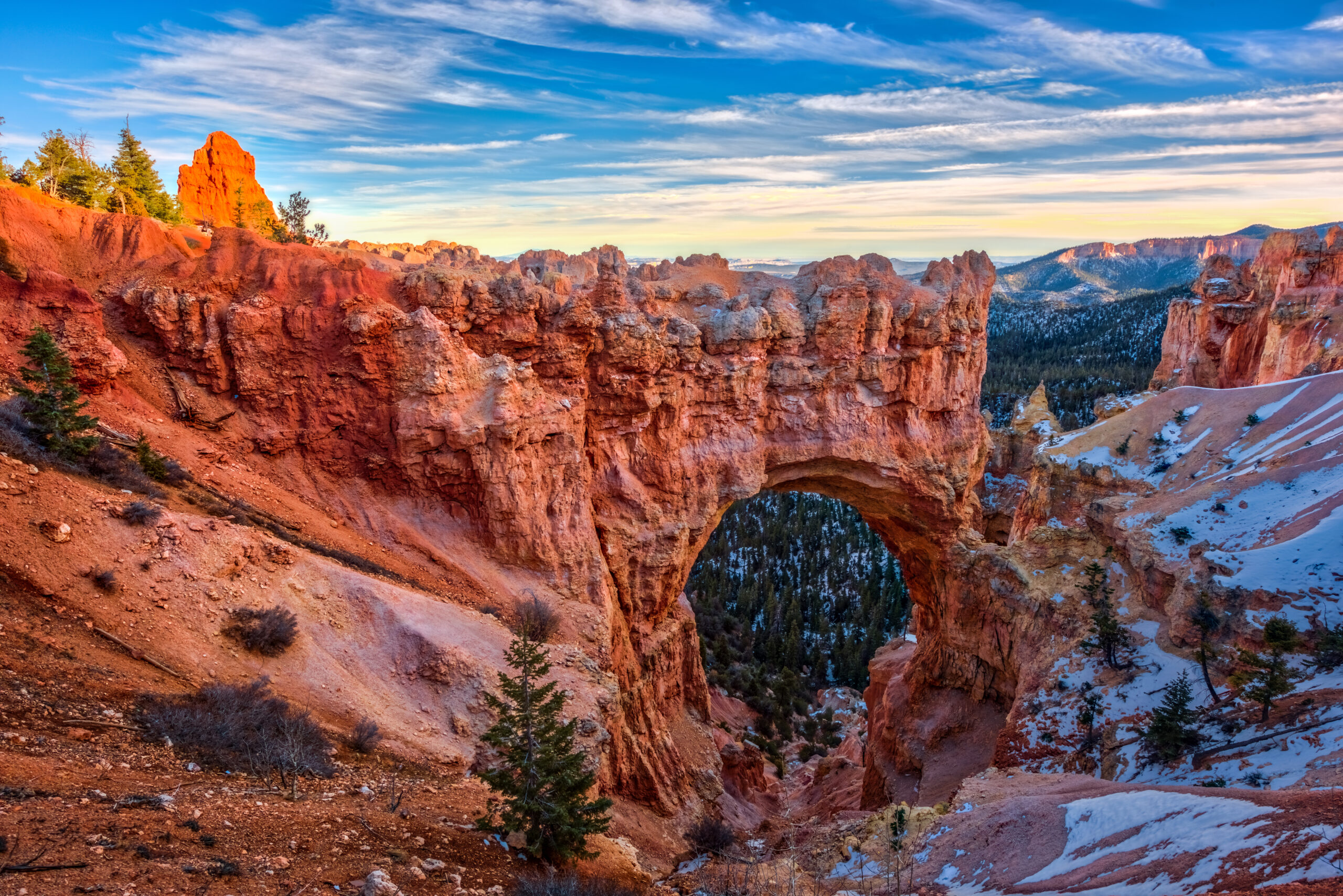 bryce-canyon-fall-aspen-trees