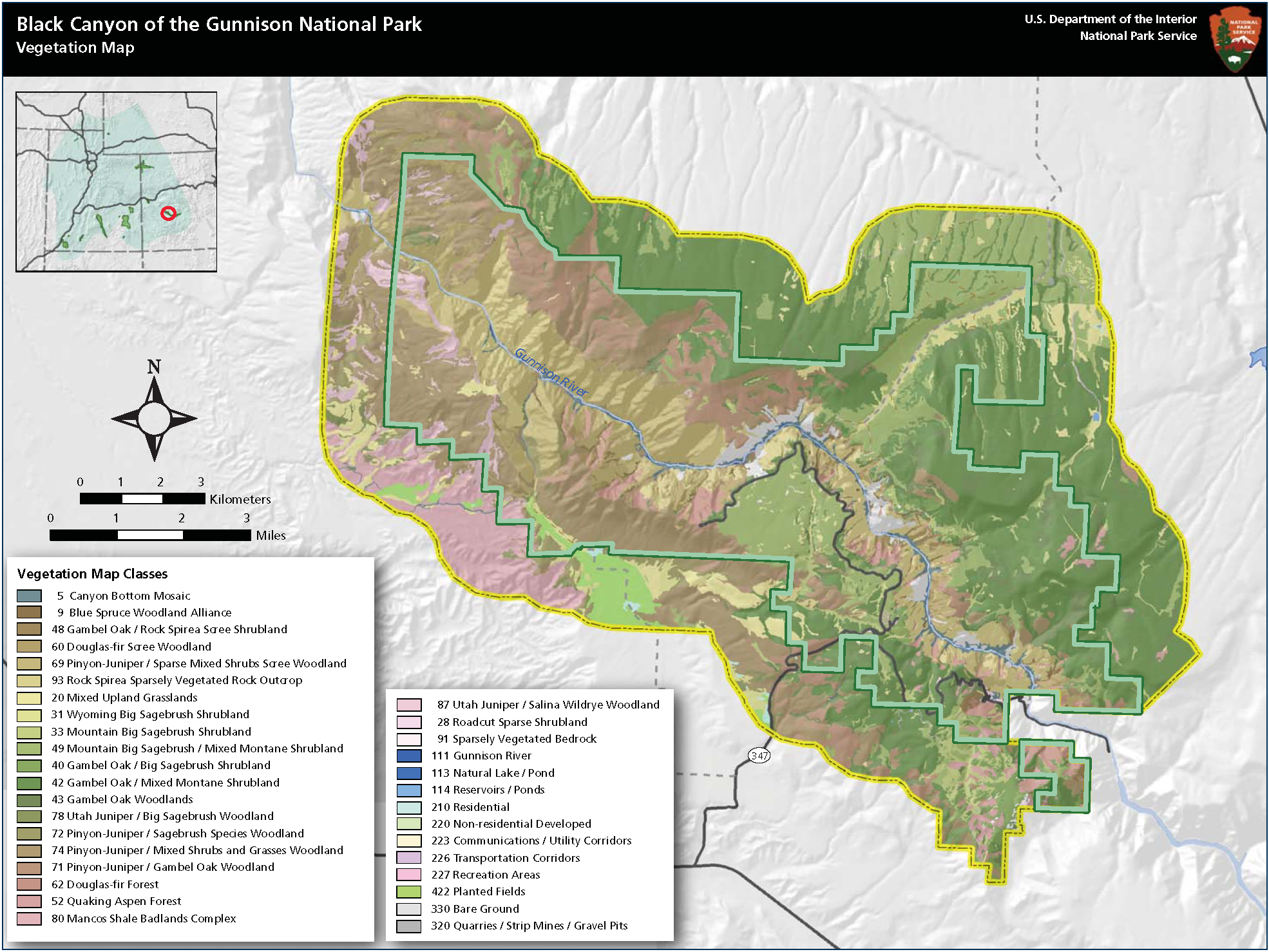 black-canyon-of-the-gunnison-oak-scrub