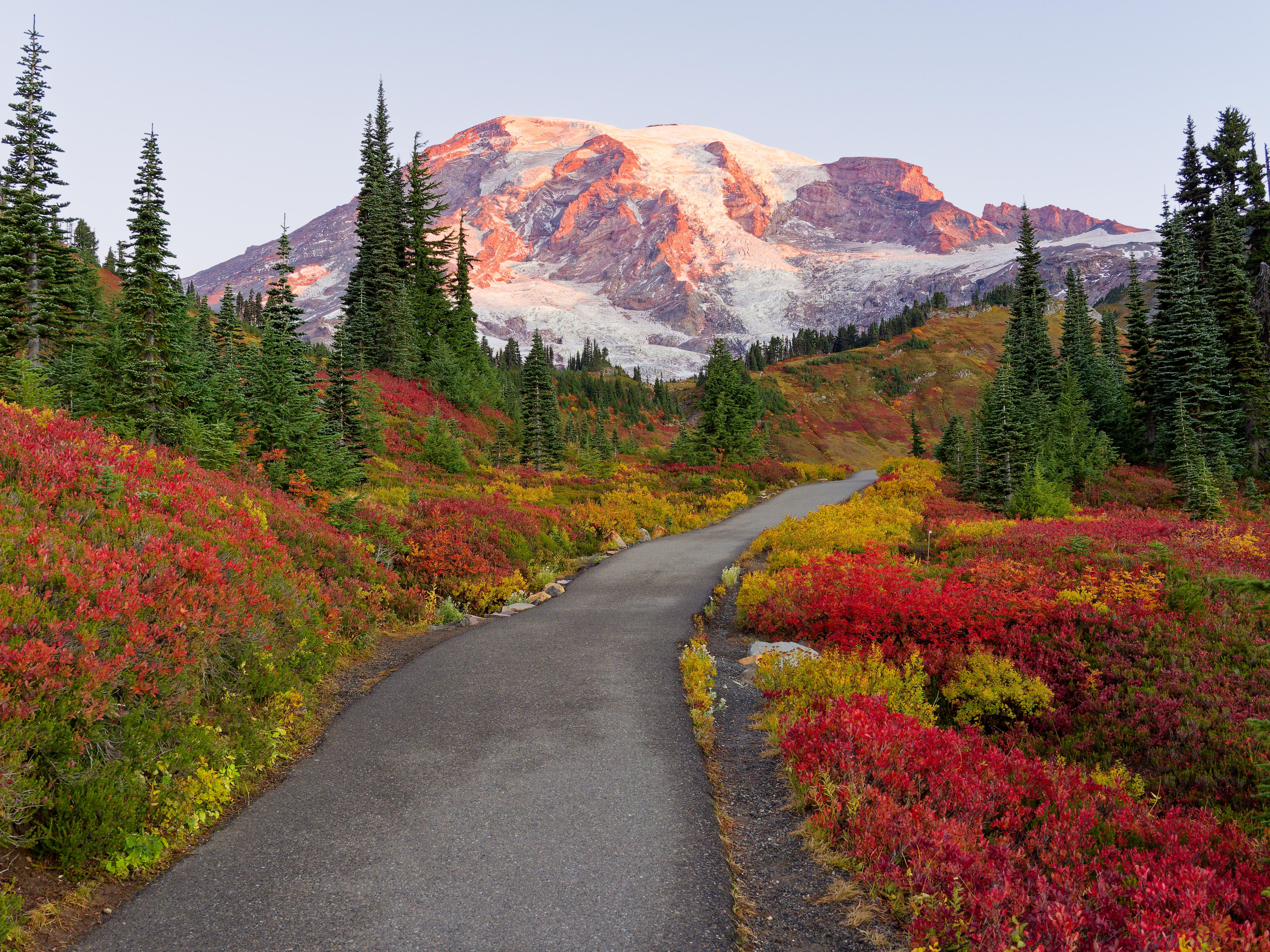 mount-rainier-fall-foliage-paradise