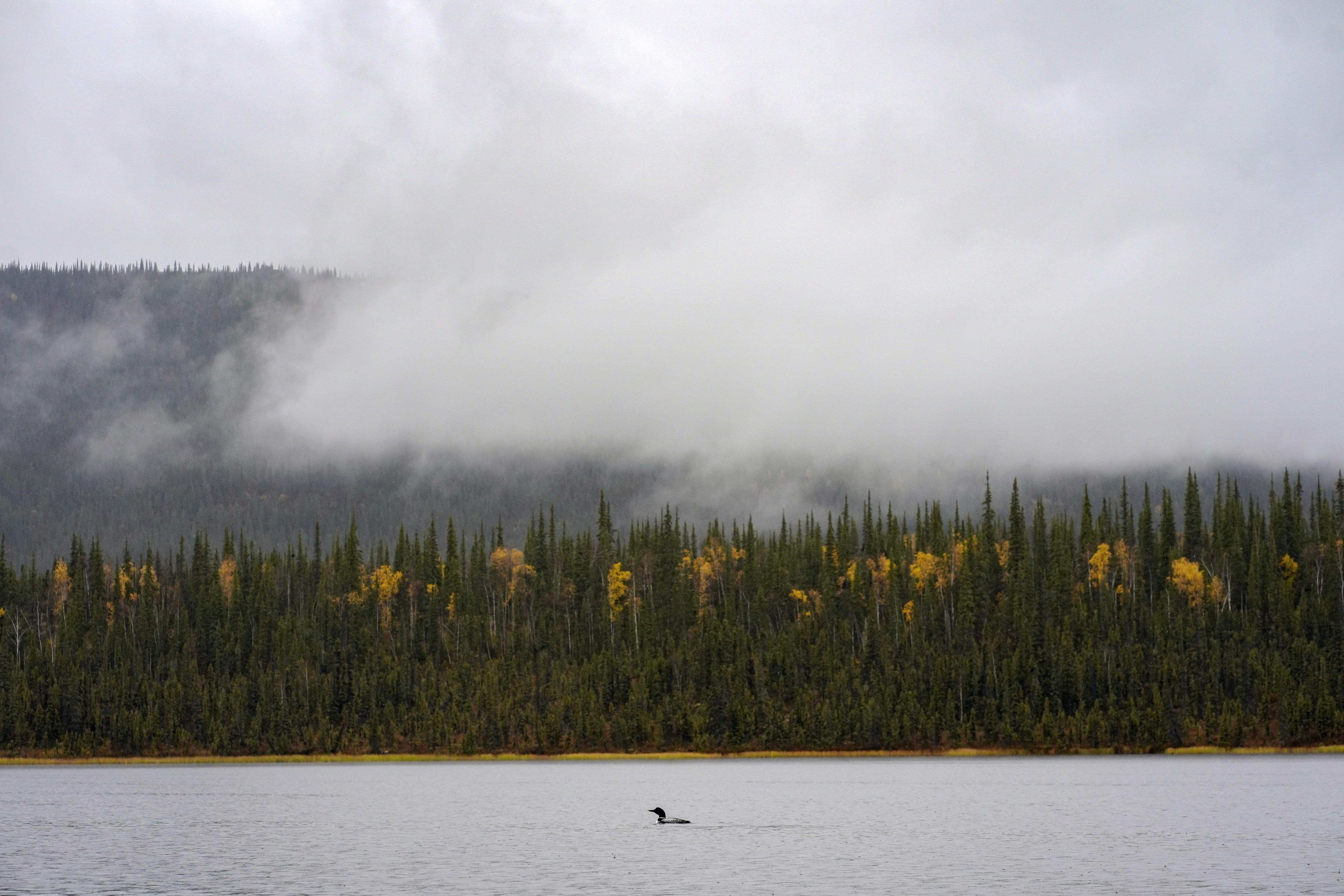 gates-of-the-arctic-autumn