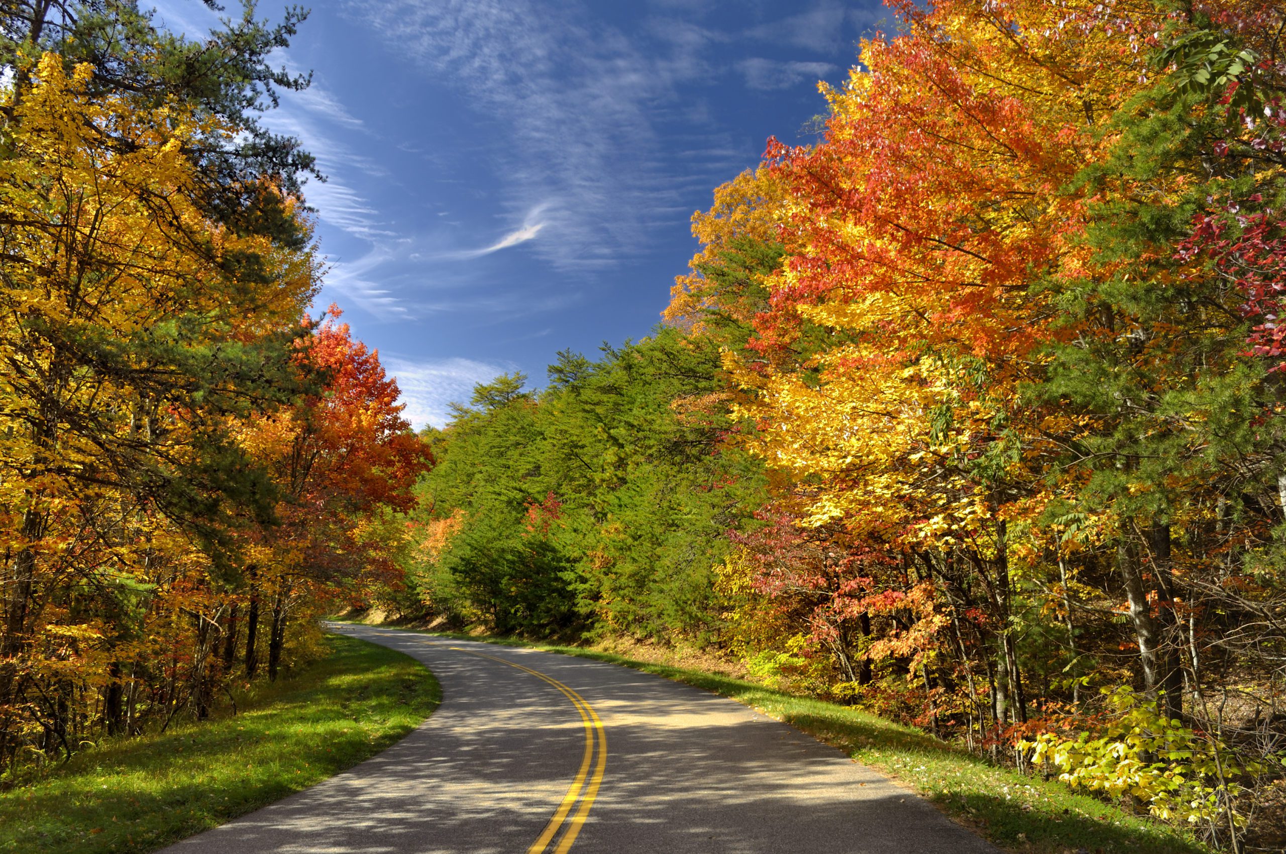 Great Smoky Mountains fall foliage scenic drive