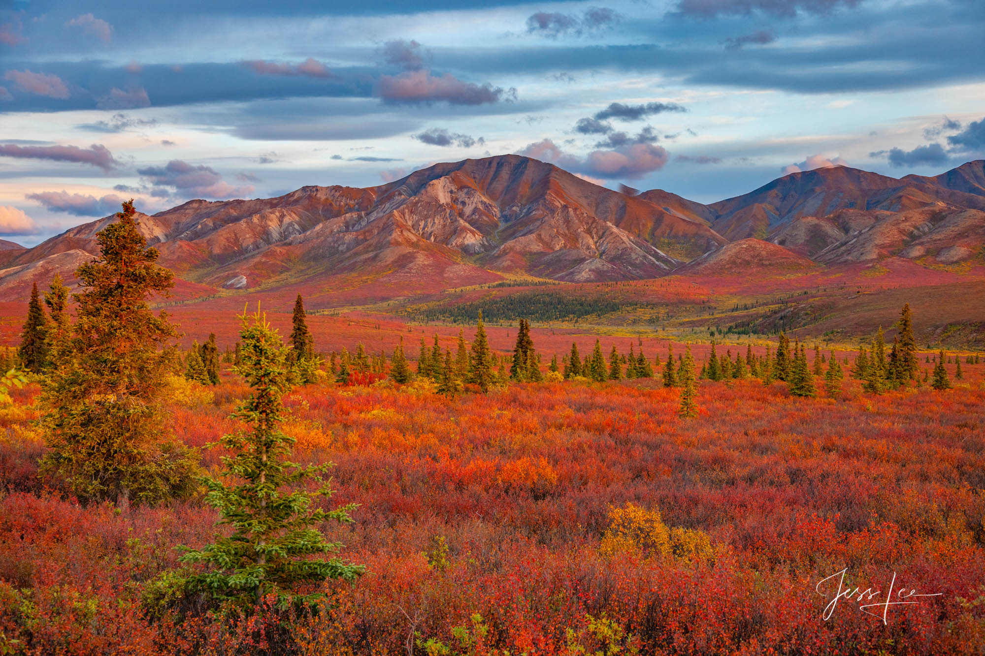 Denali National Park tundra landscape