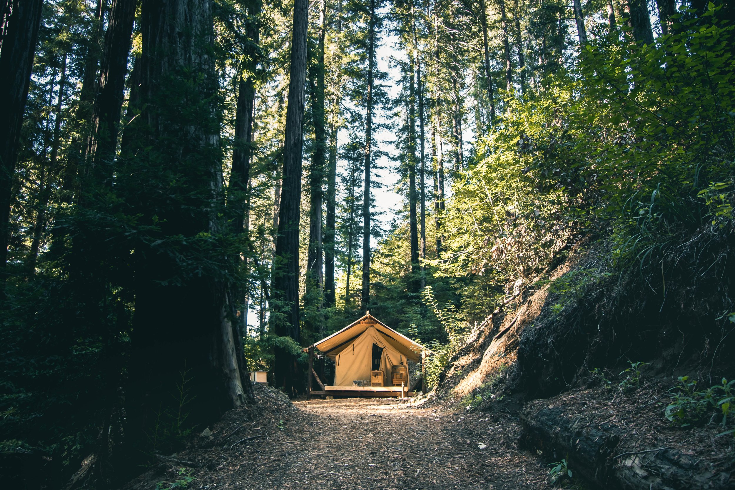 Big Sur glamping redwoods ocean