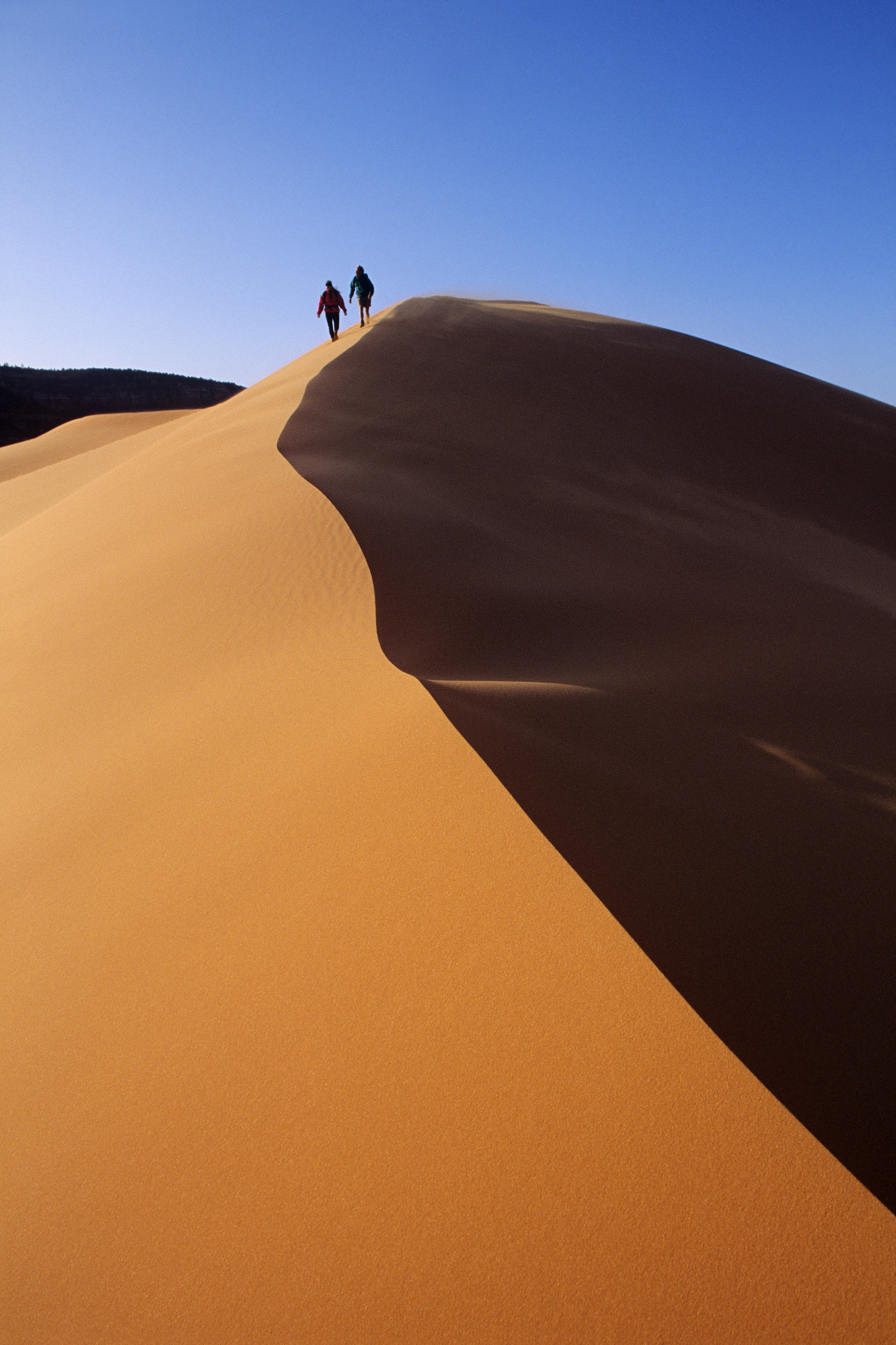 coral pink sand dunes state park utah