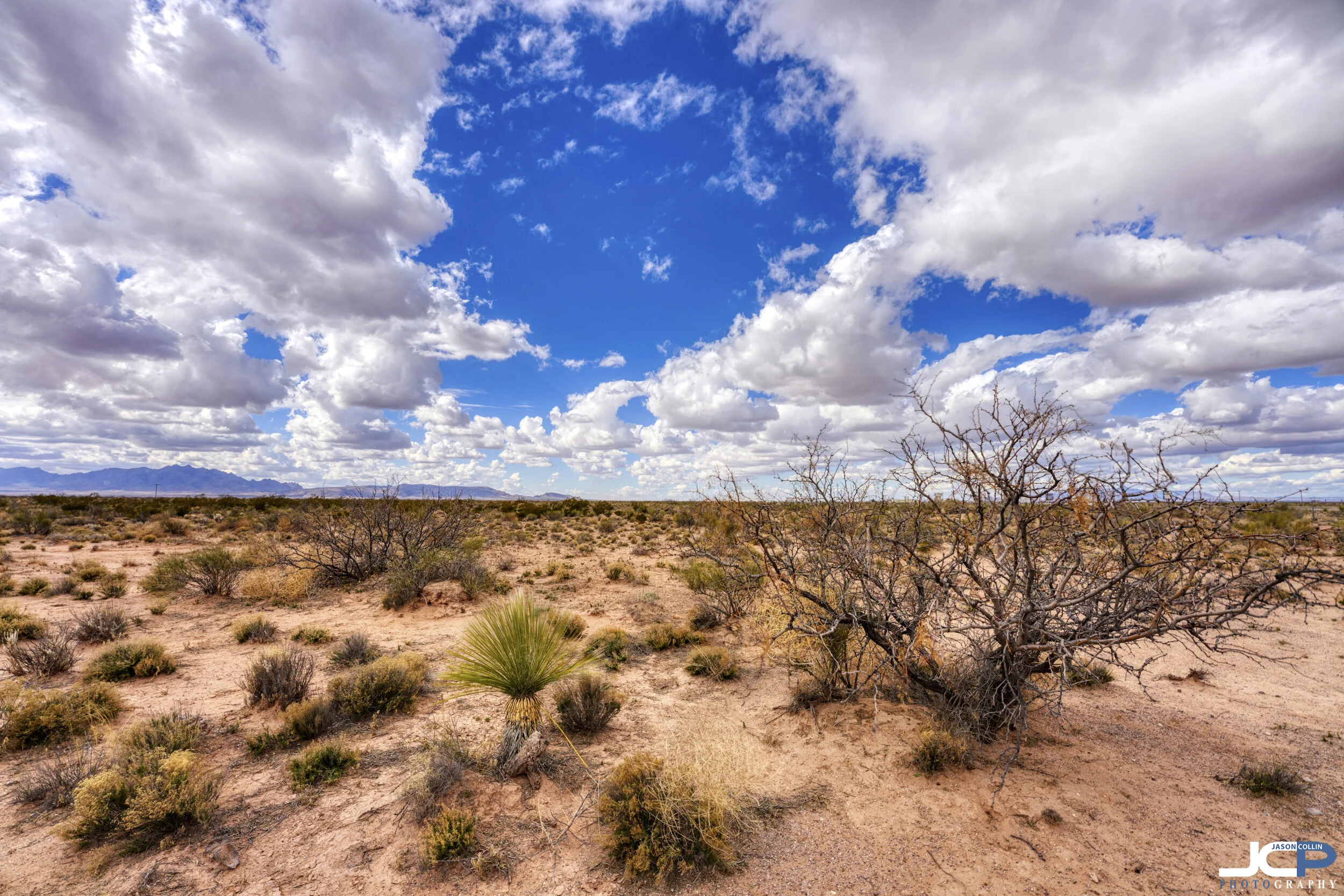 new mexico landscape desert scenery