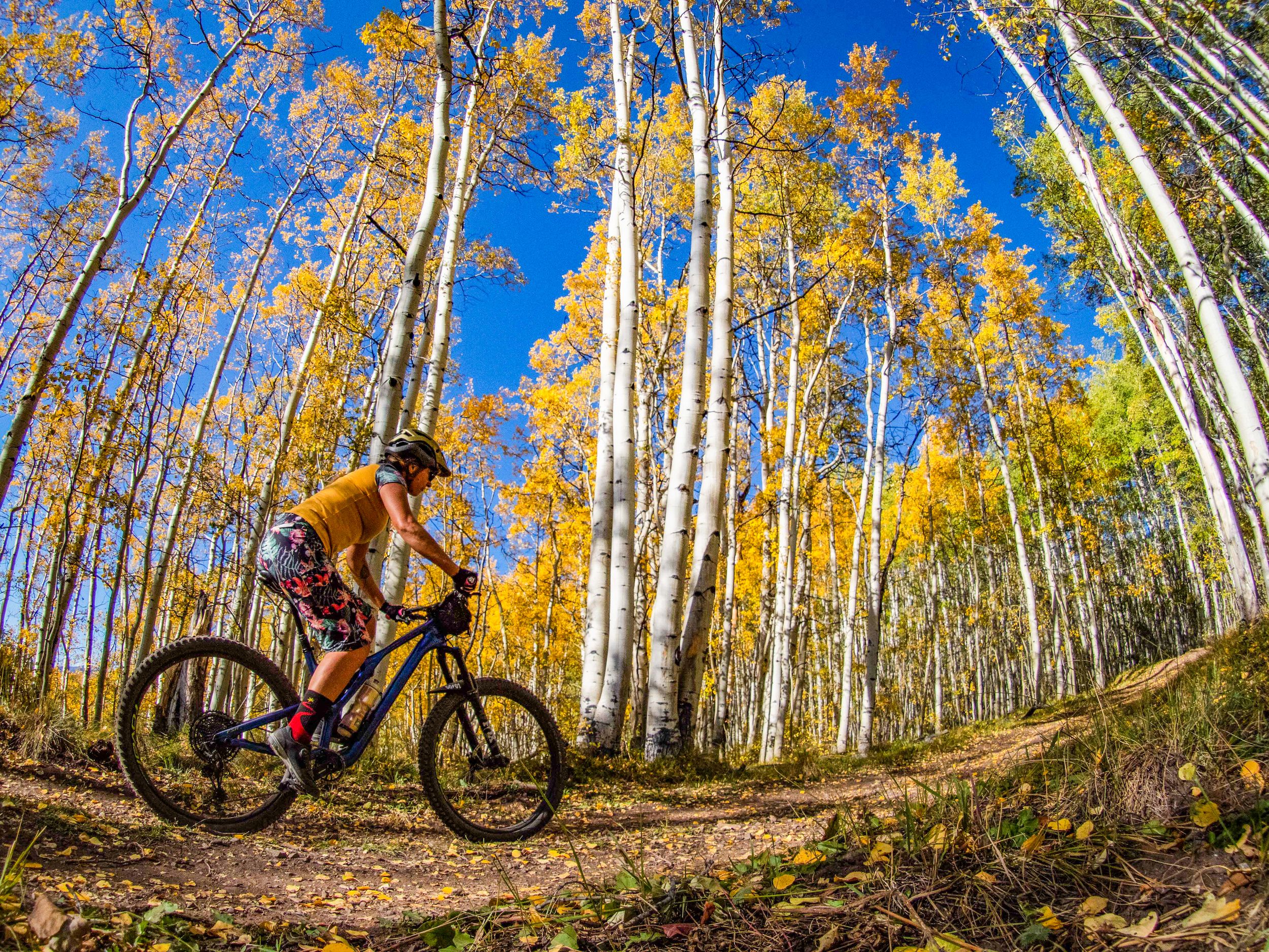 Crested Butte Colorado aspen fall foliage
