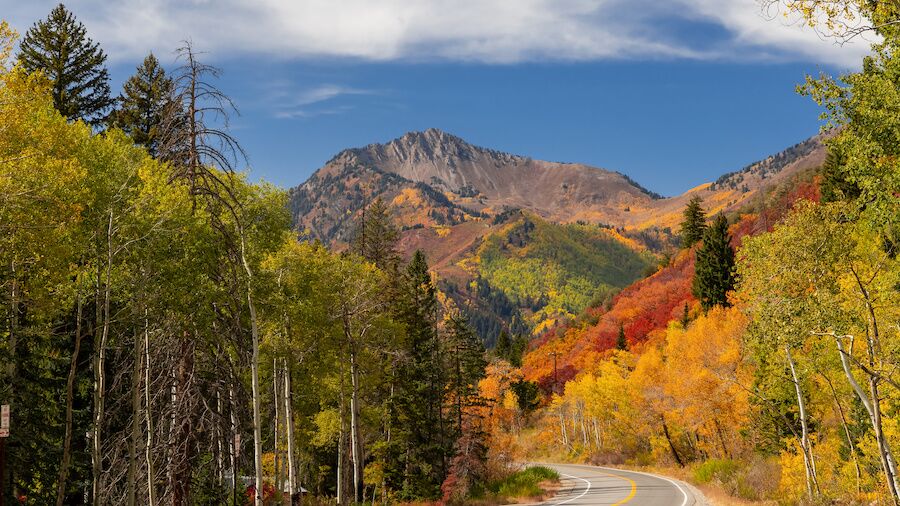 fall foliage mountain town planning