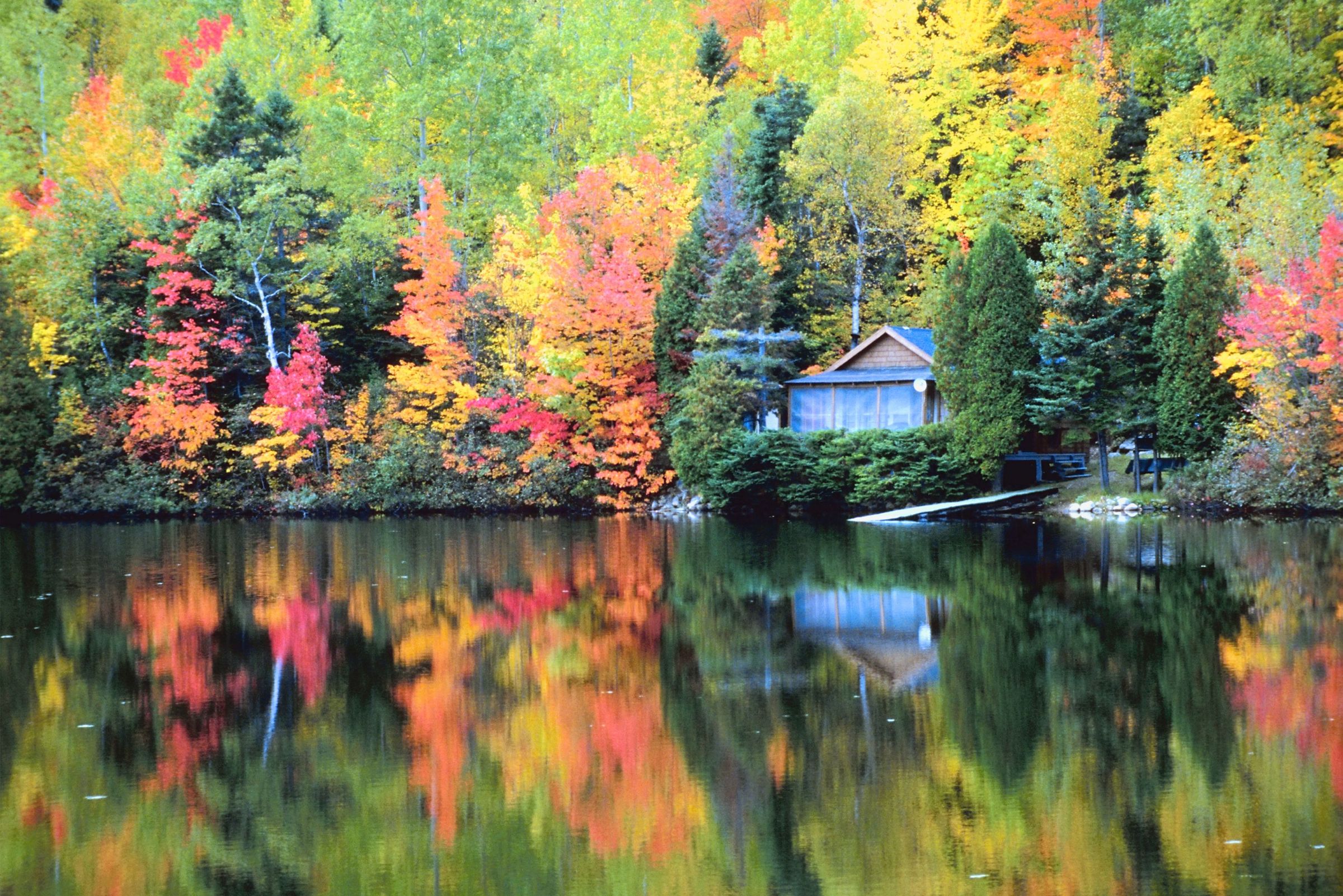 maine fall foliage peak season