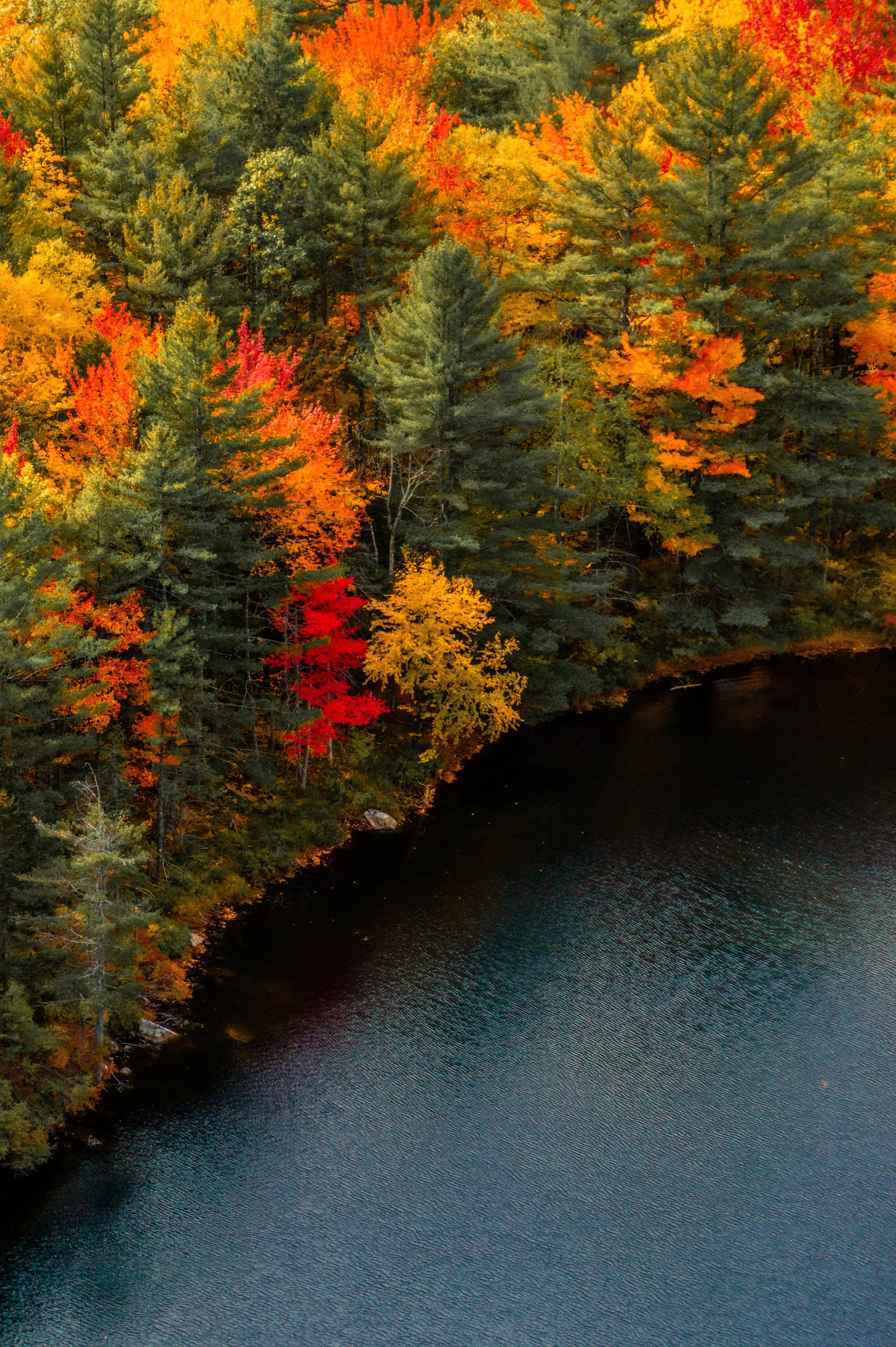 Maine fall foliage hiking Acadia