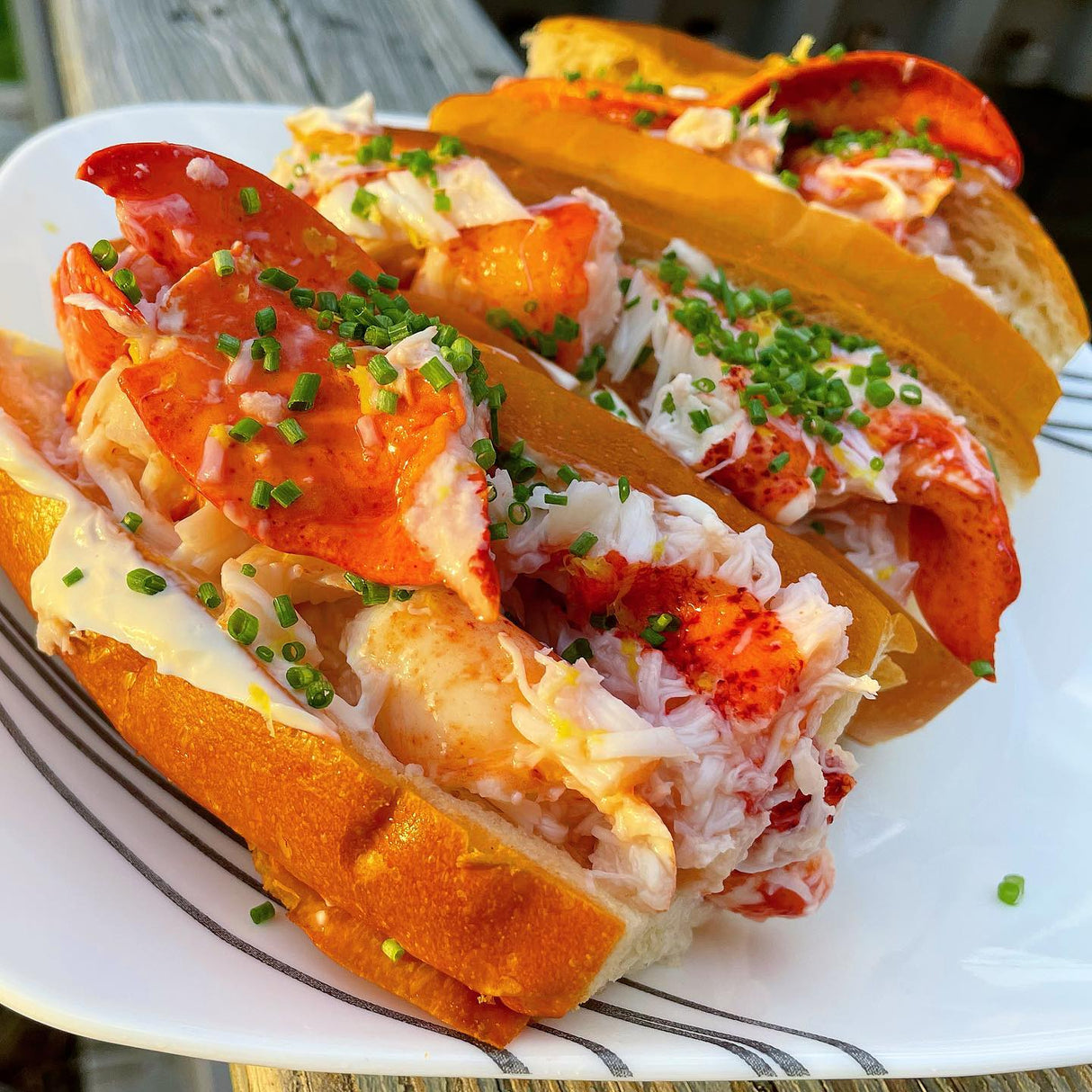 maine lobster roll seafood