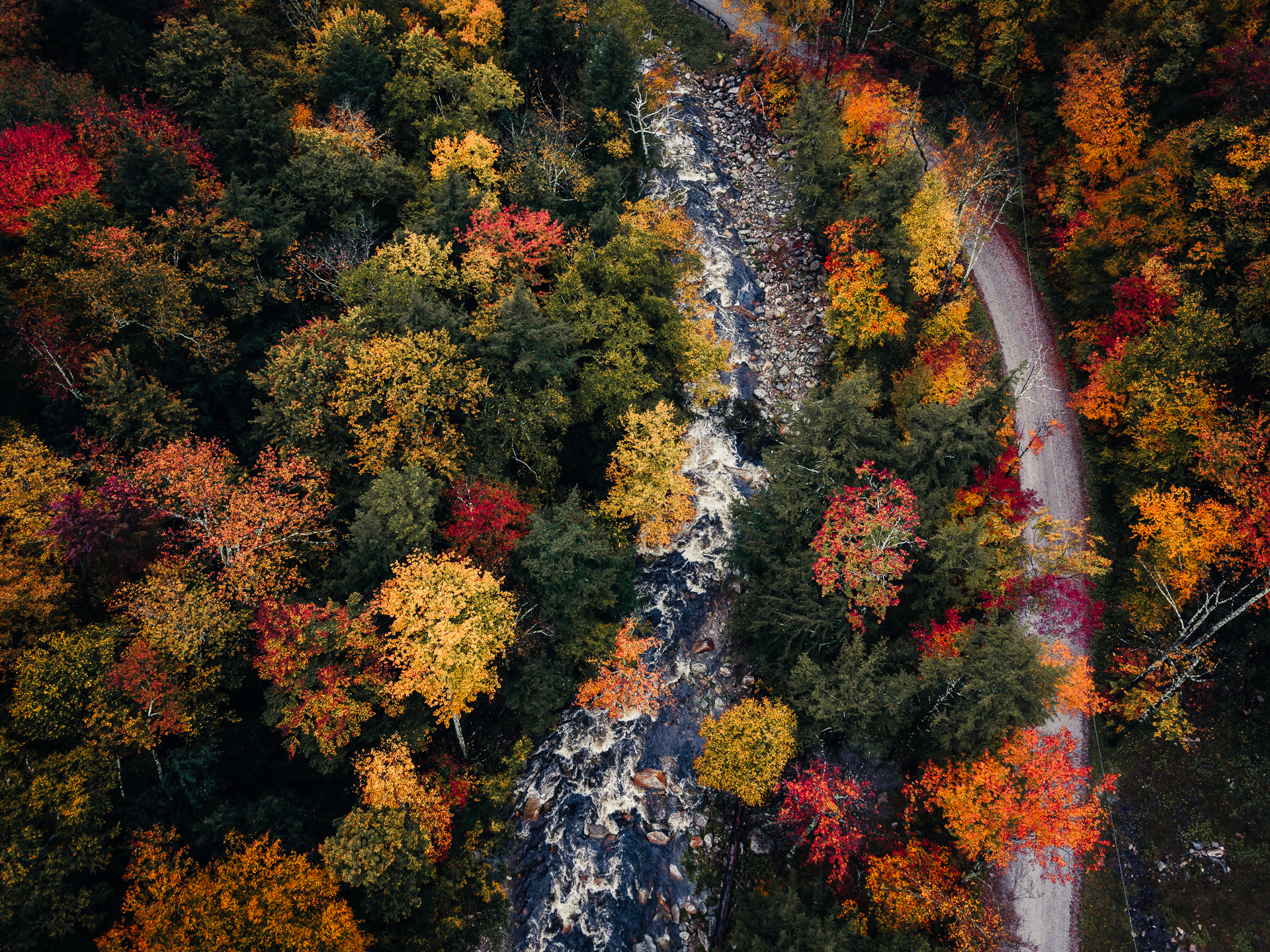 Manchester Vermont fall foliage Mount Equinox