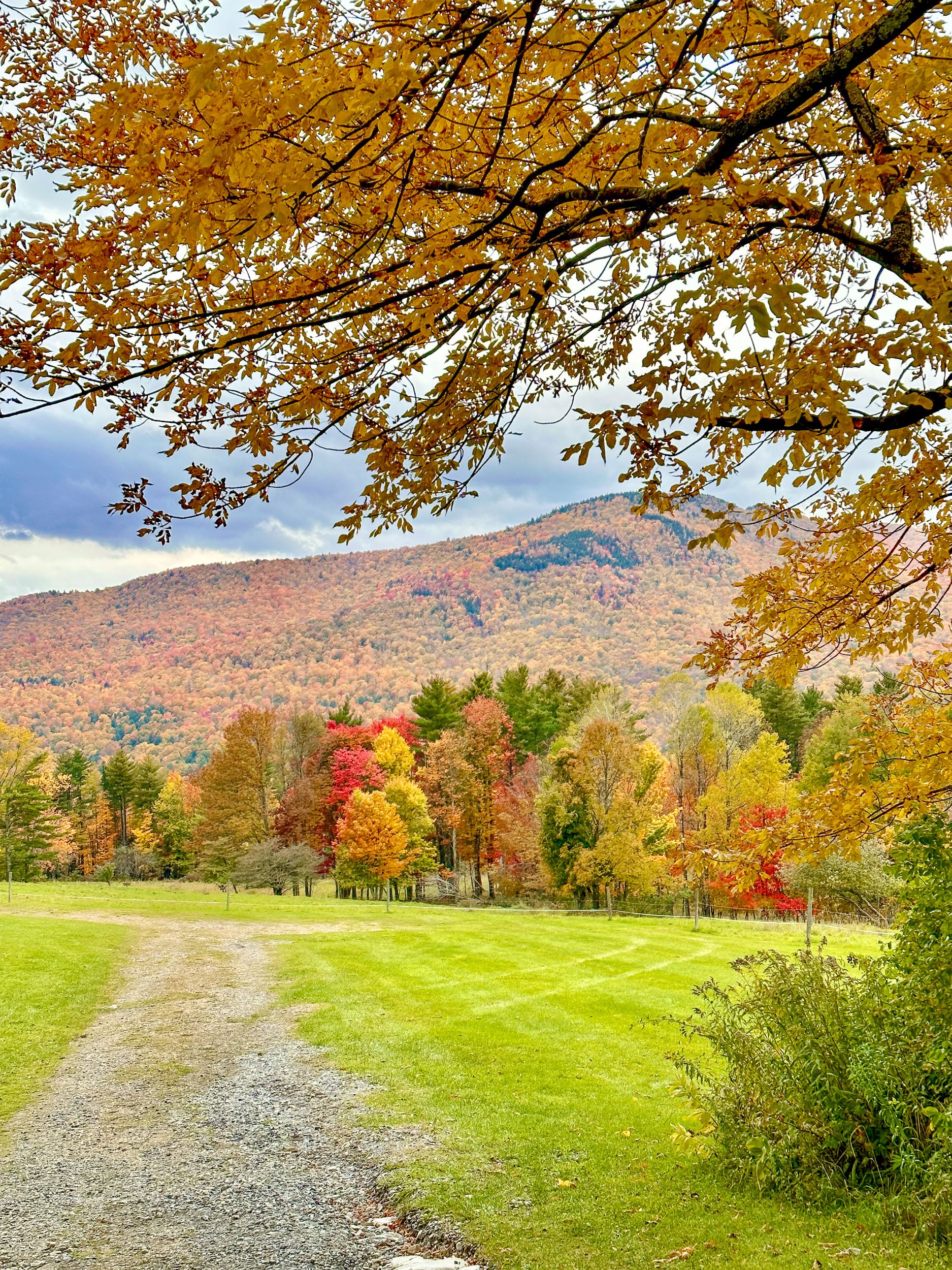 vermont apple orchard fall picking