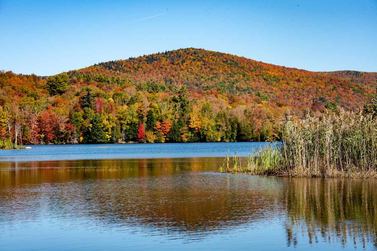 vermont reservoir wildlife refuge fall colors