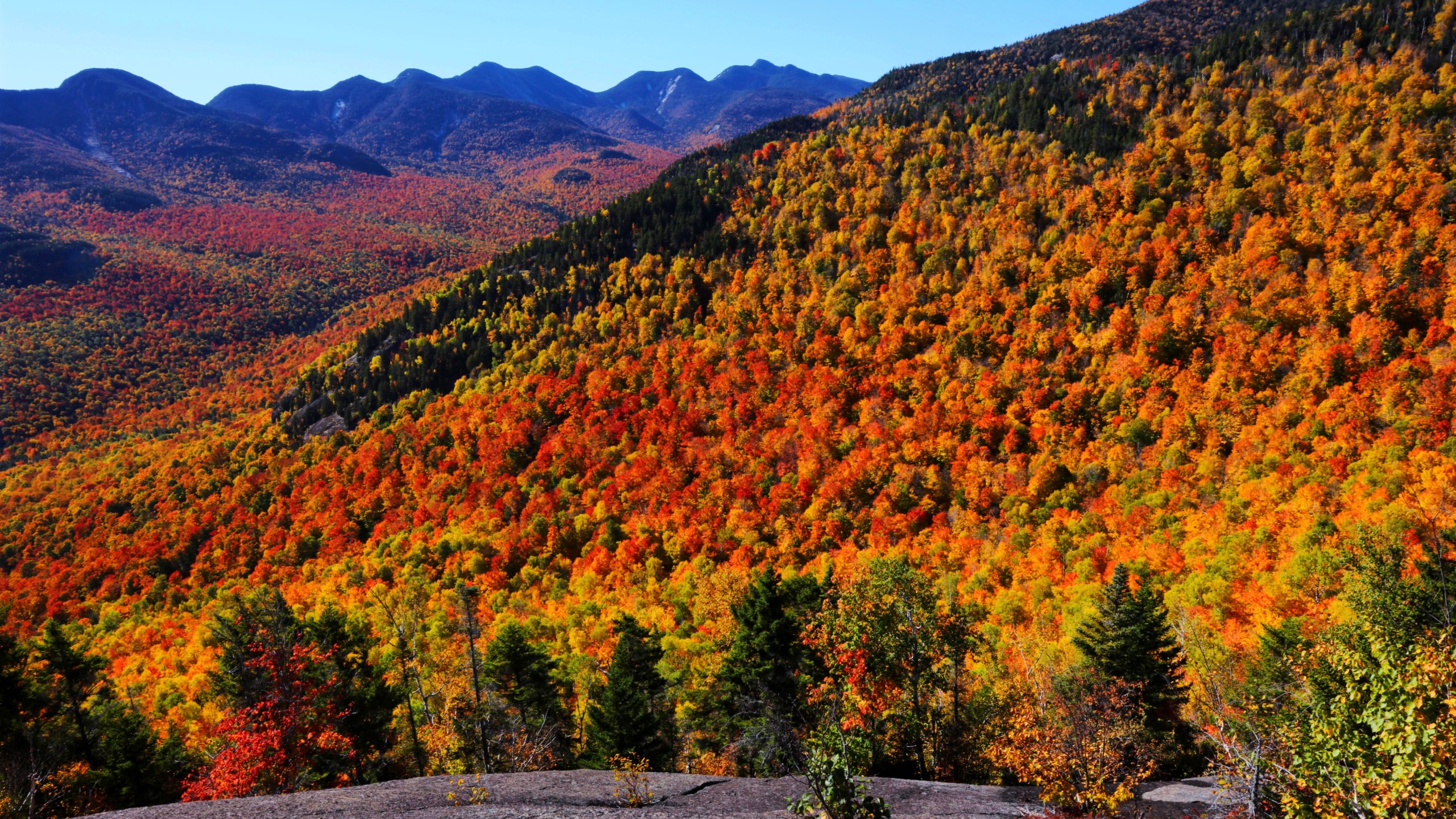 Adirondack High Peaks autumn leaves