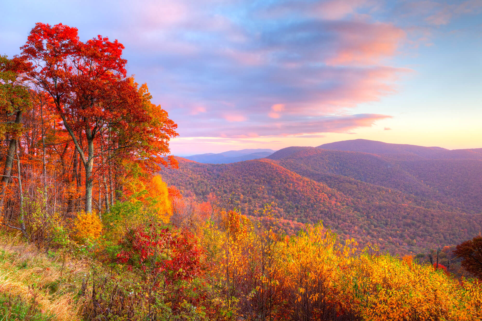 smoky mountains fall colors