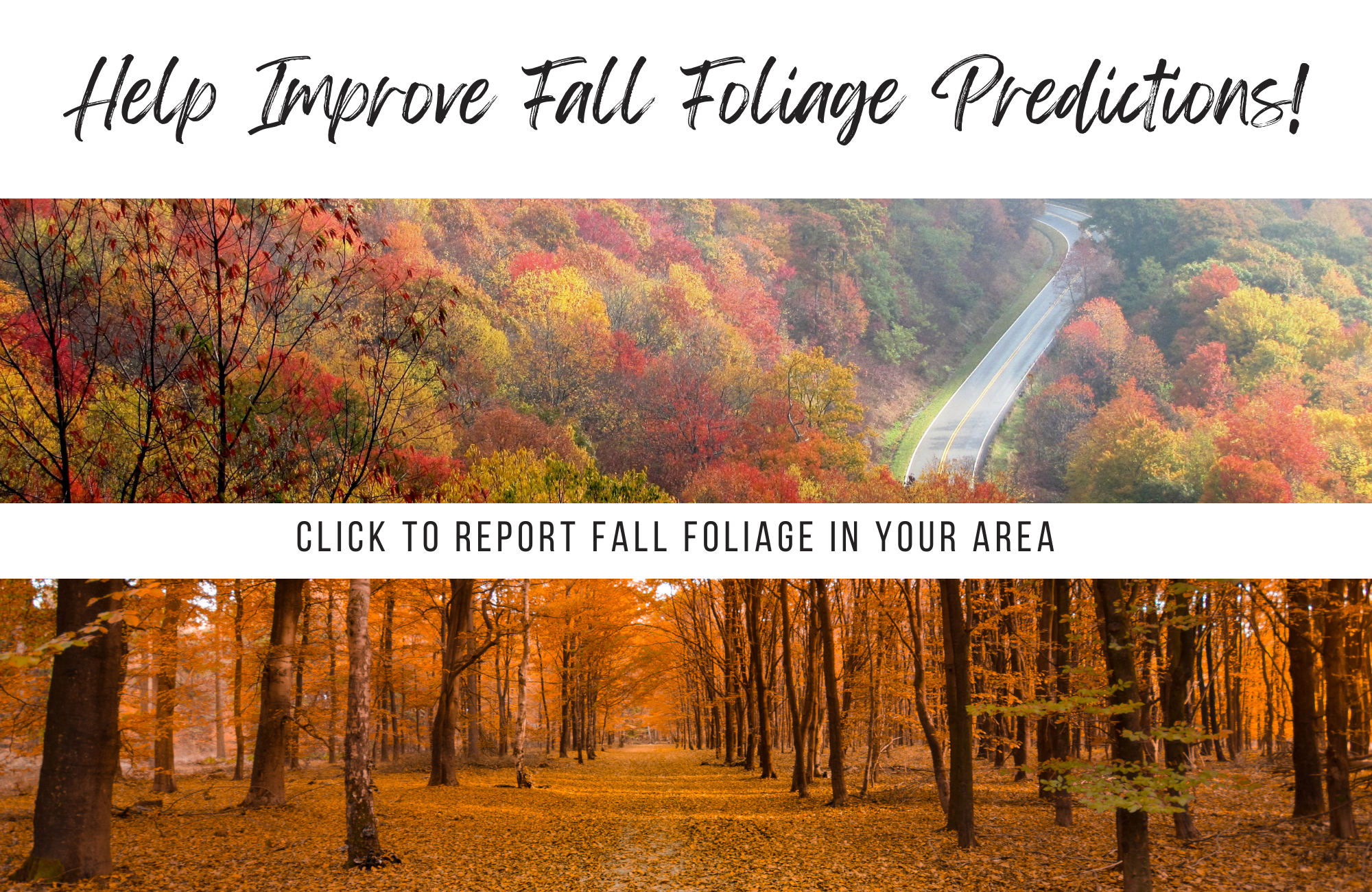 smoky mountains fall foliage peak colors