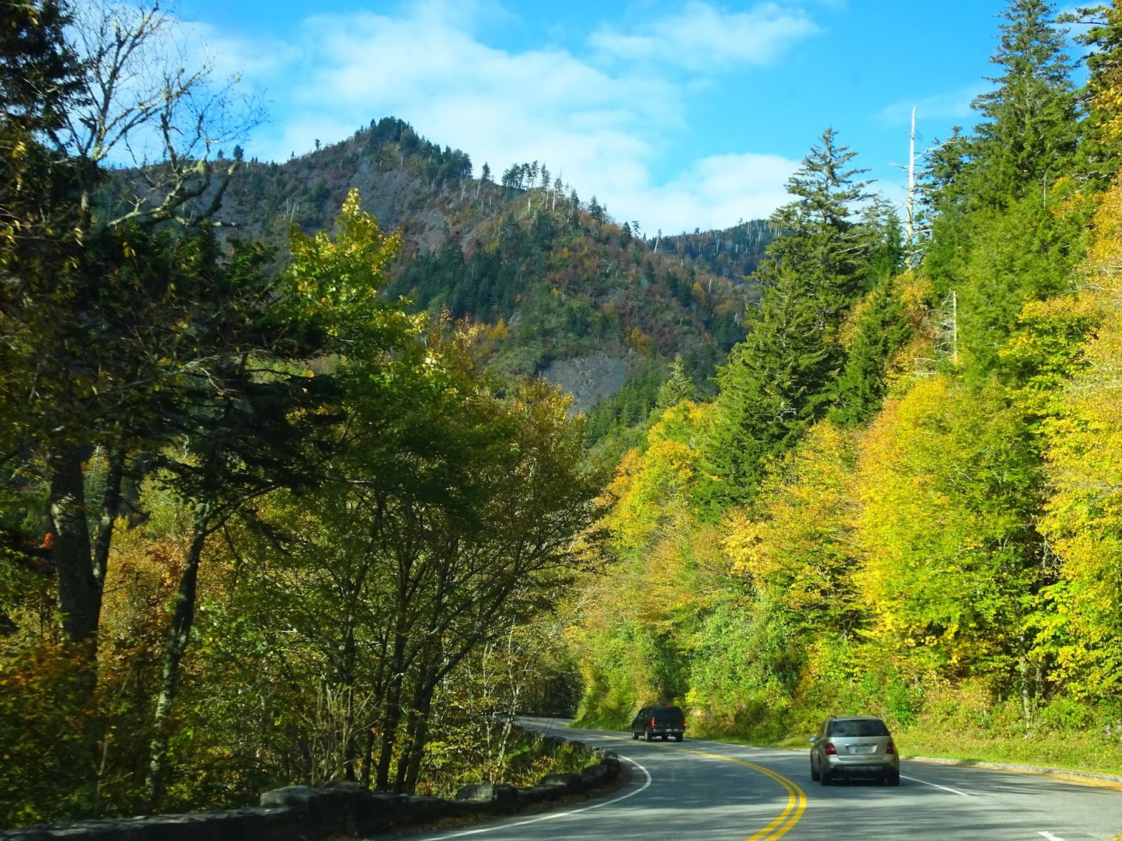 Newfound Gap Road fall foliage Smoky Mountains