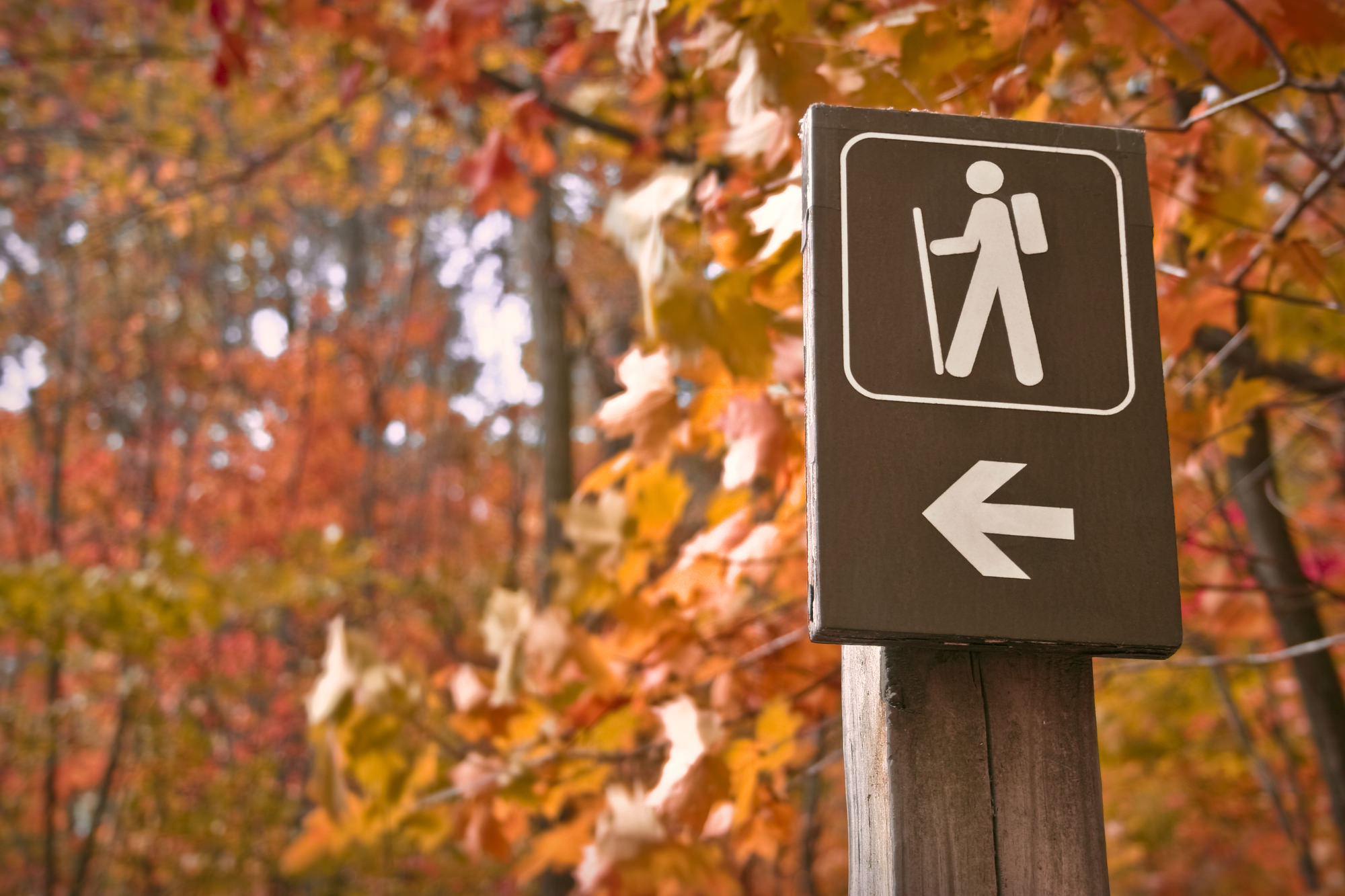 smoky mountains hiking trails fall foliage