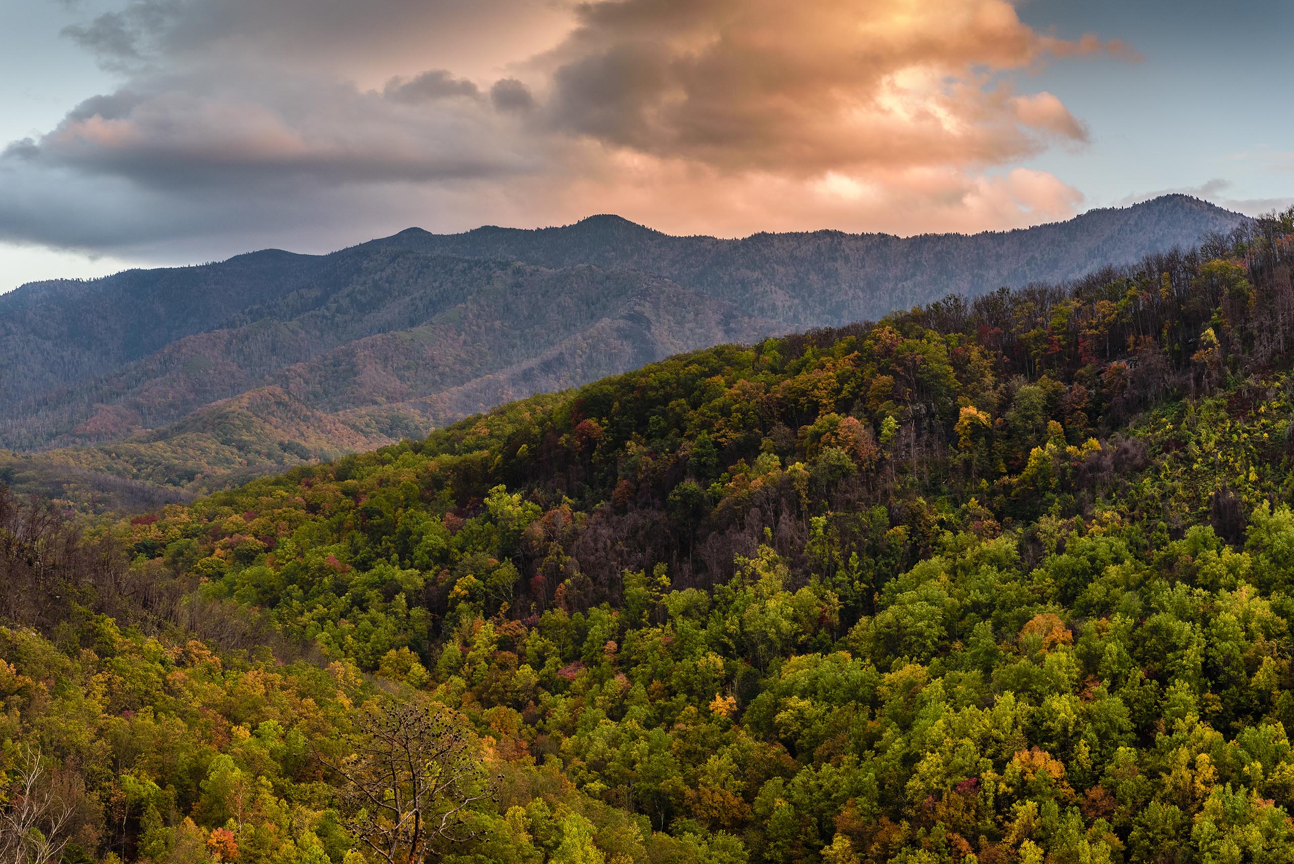 Anakeesta Chondola fall colors Smoky Mountains