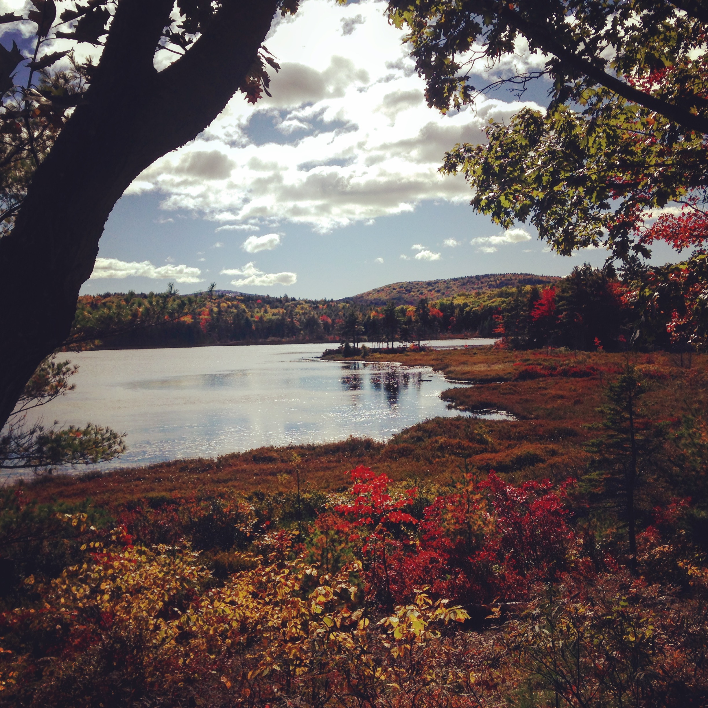 bar harbor maine acadia fall