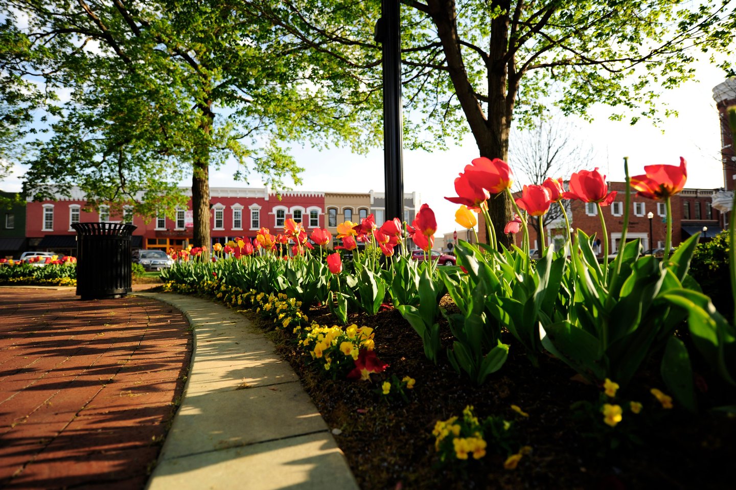 Bentonville Arkansas downtown square fall