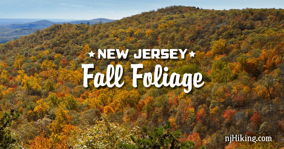 New Jersey fall foliage hiking trails