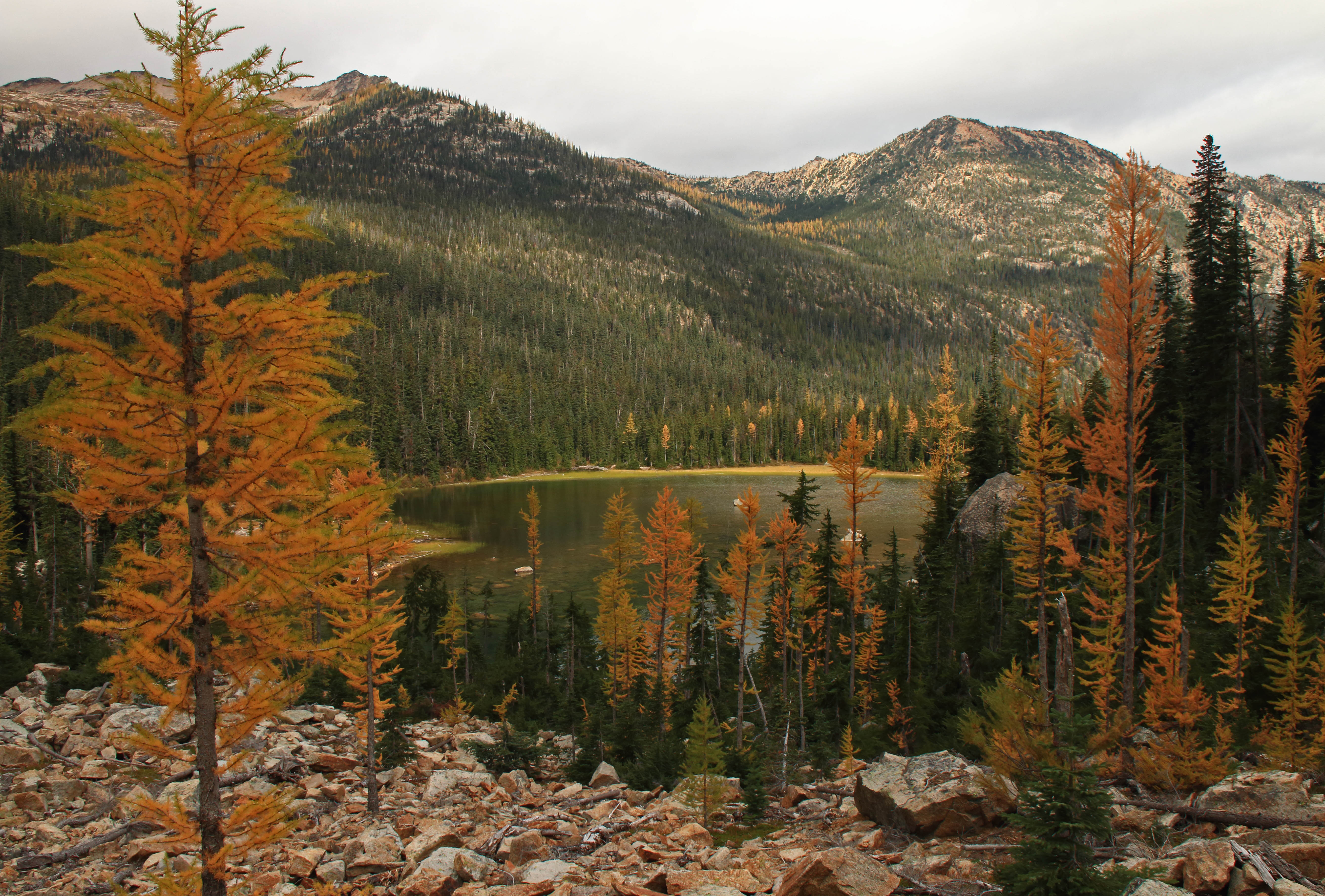 cutthroat lake north cascades larch fall