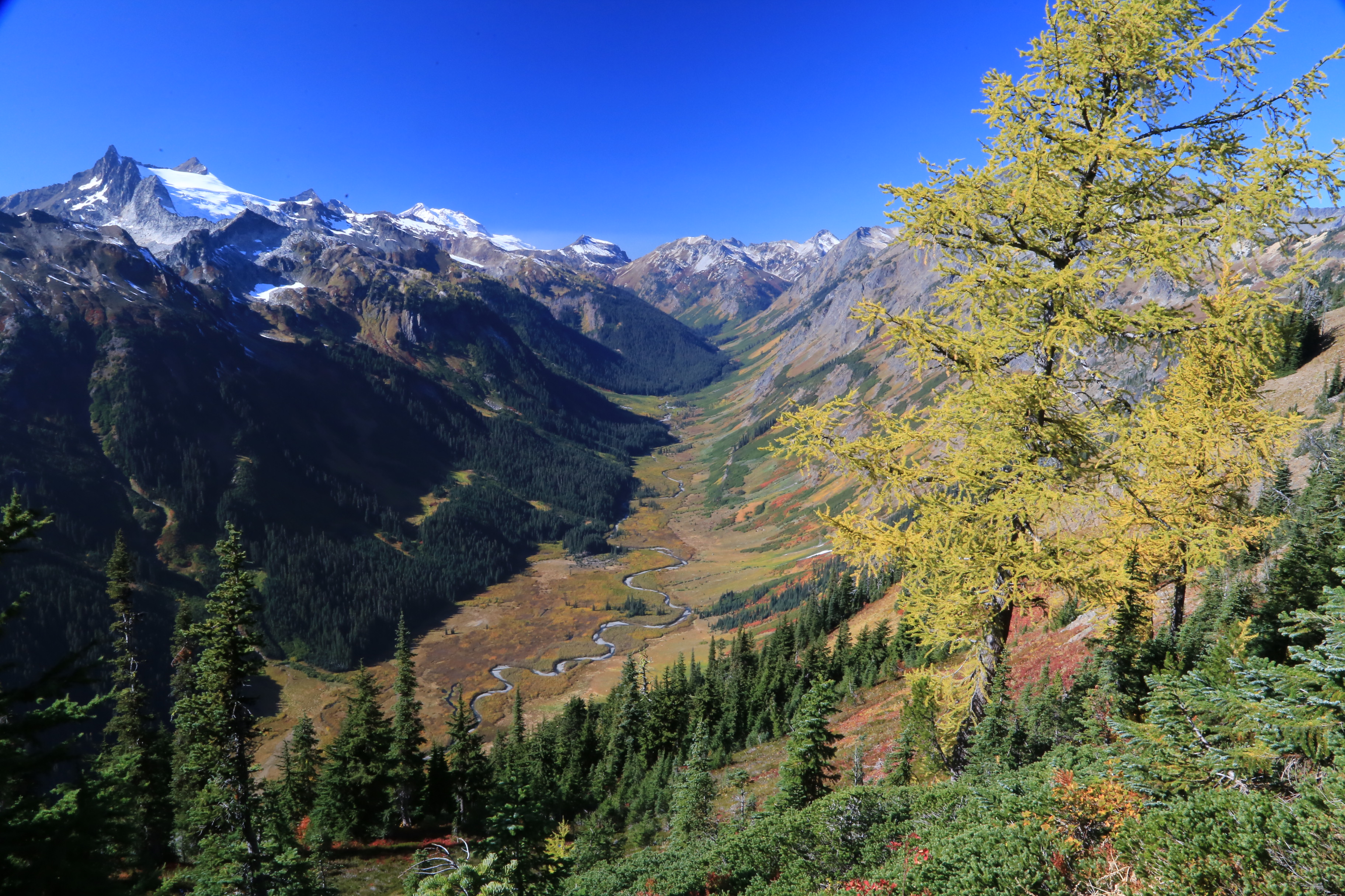 little giant pass washington cascades