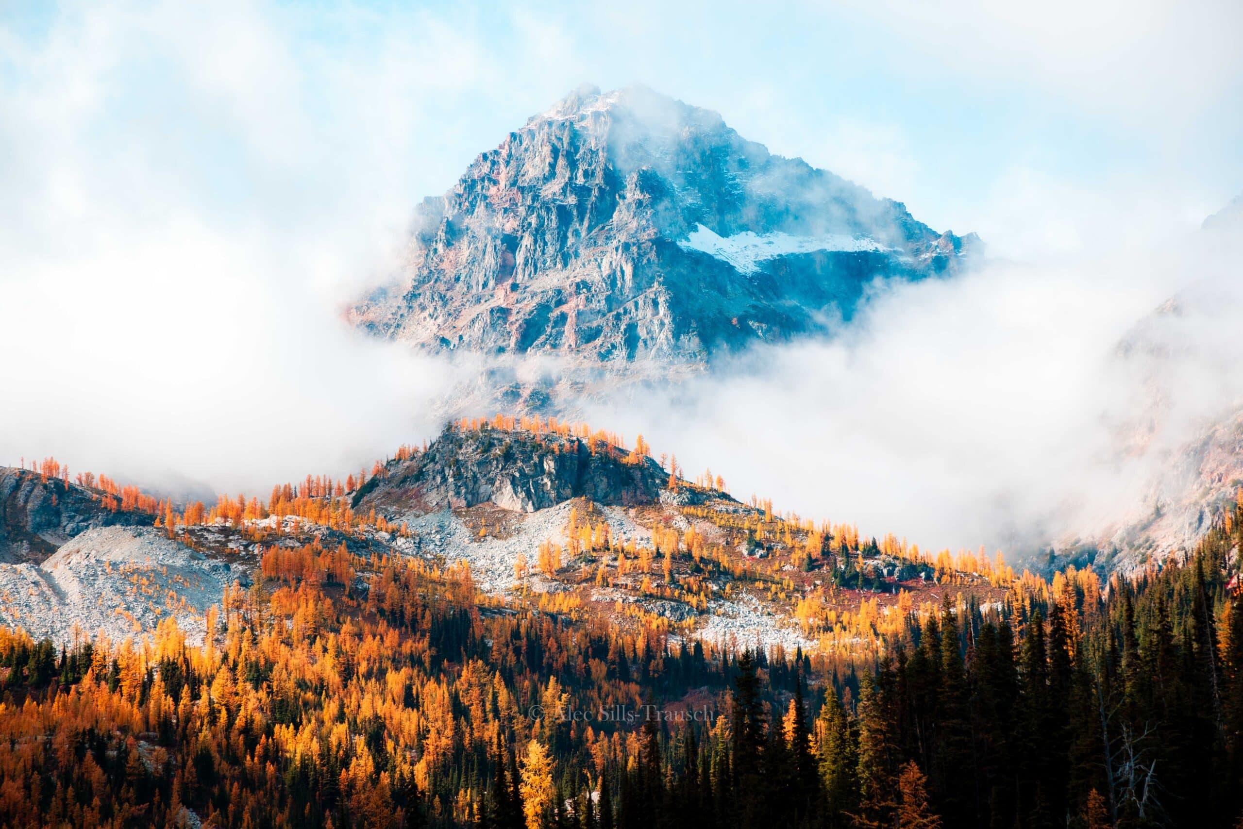 crater lakes trail washington larch