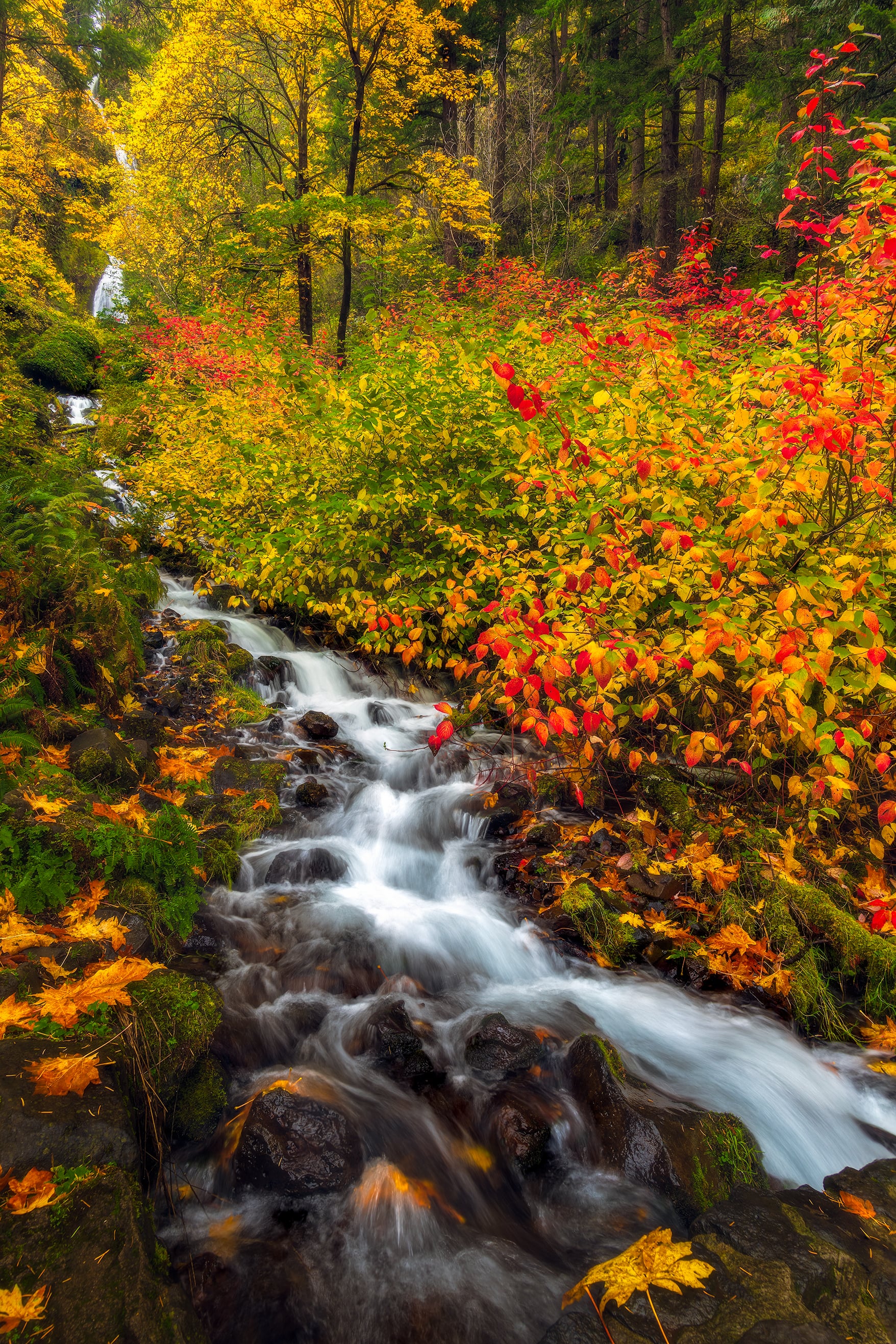 columbia river gorge fall colors waterfalls