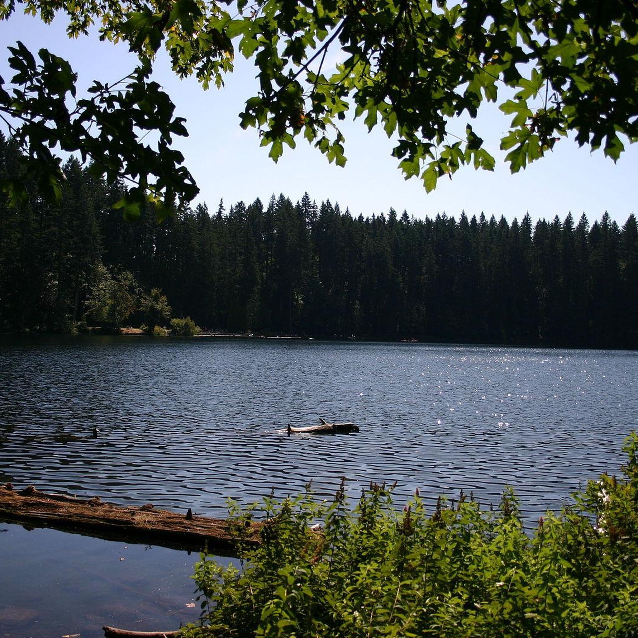 battle ground lake washington fall hiking