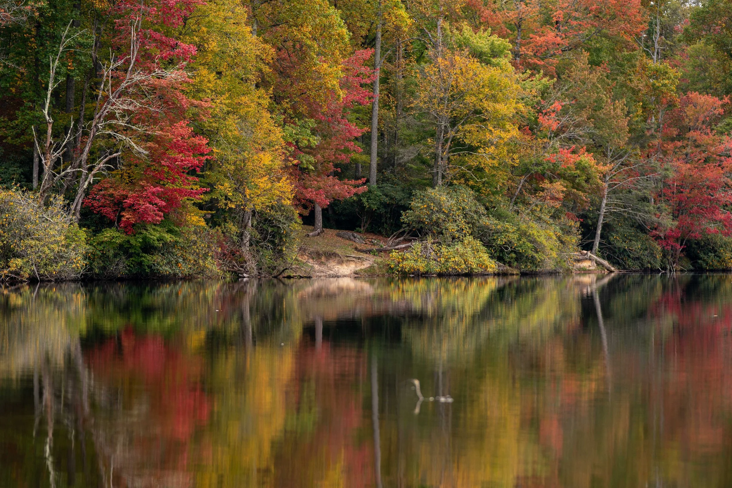 blue ridge parkway fall foliage october