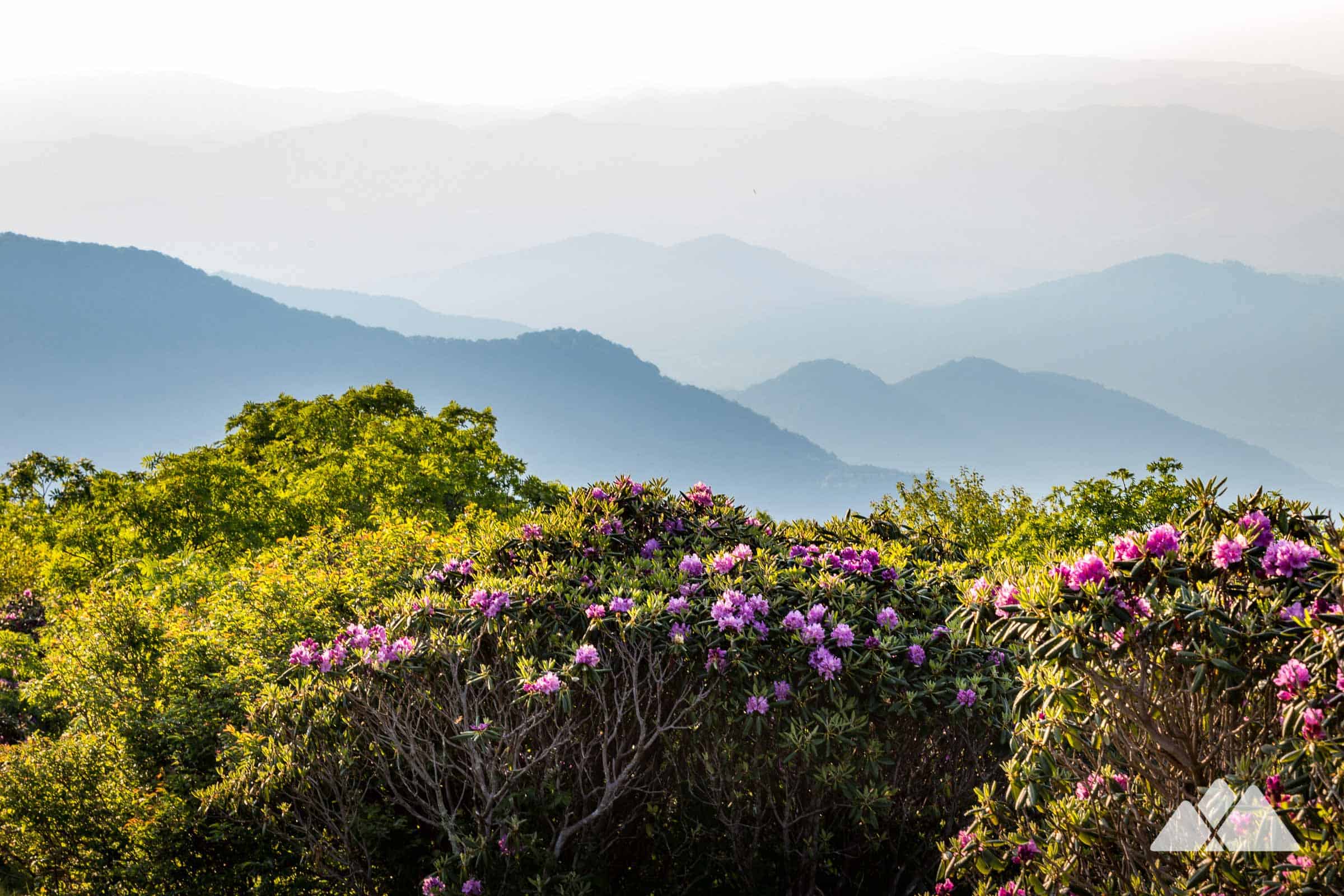 craggy gardens blue ridge parkway fall