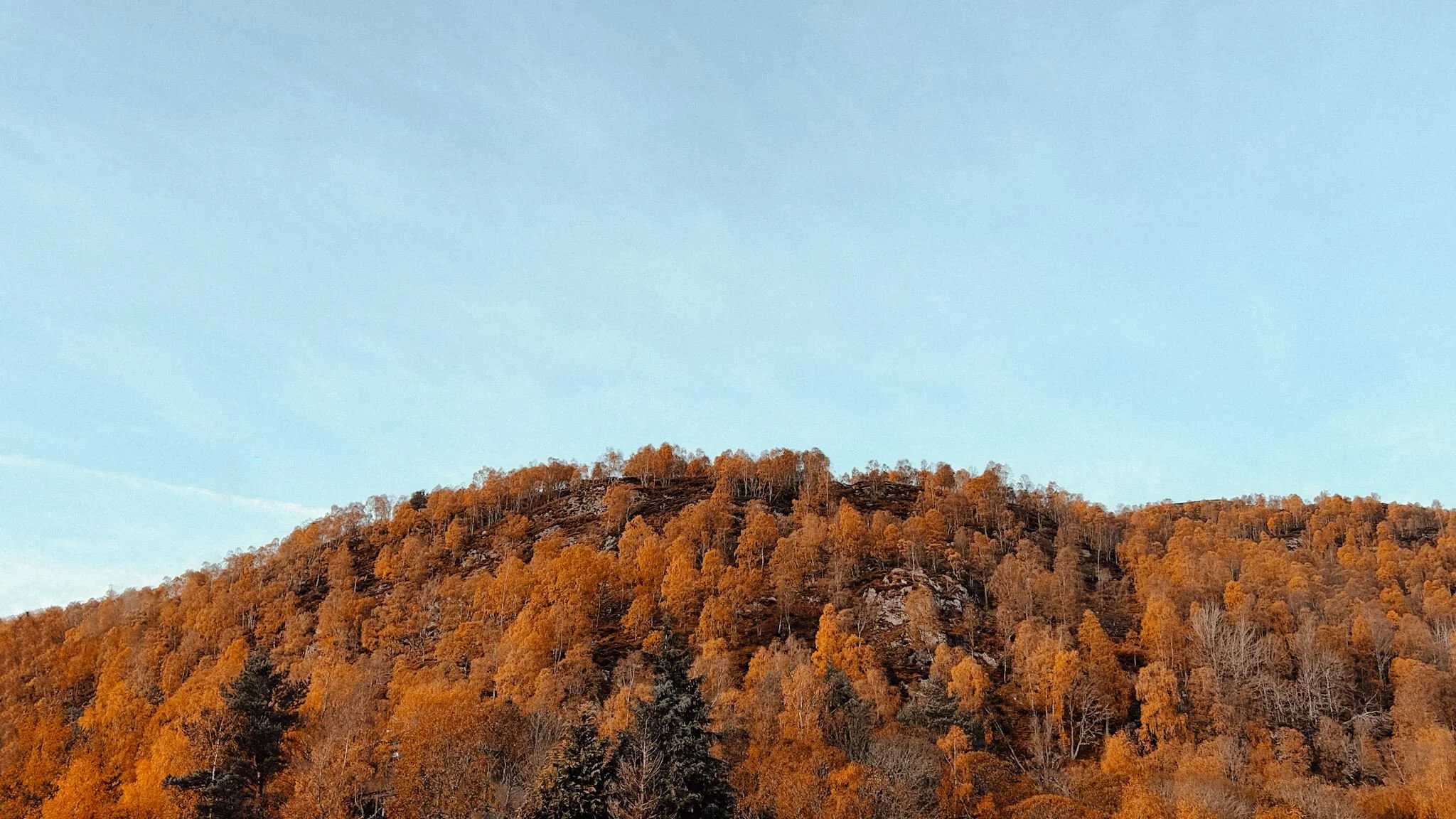 scotland autumn foliage mountains