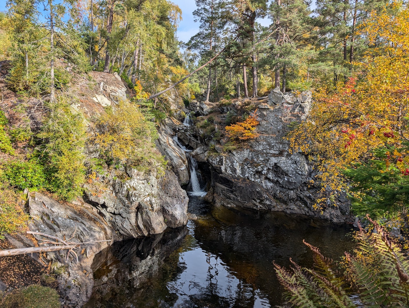 perthshire autumn forest scotland