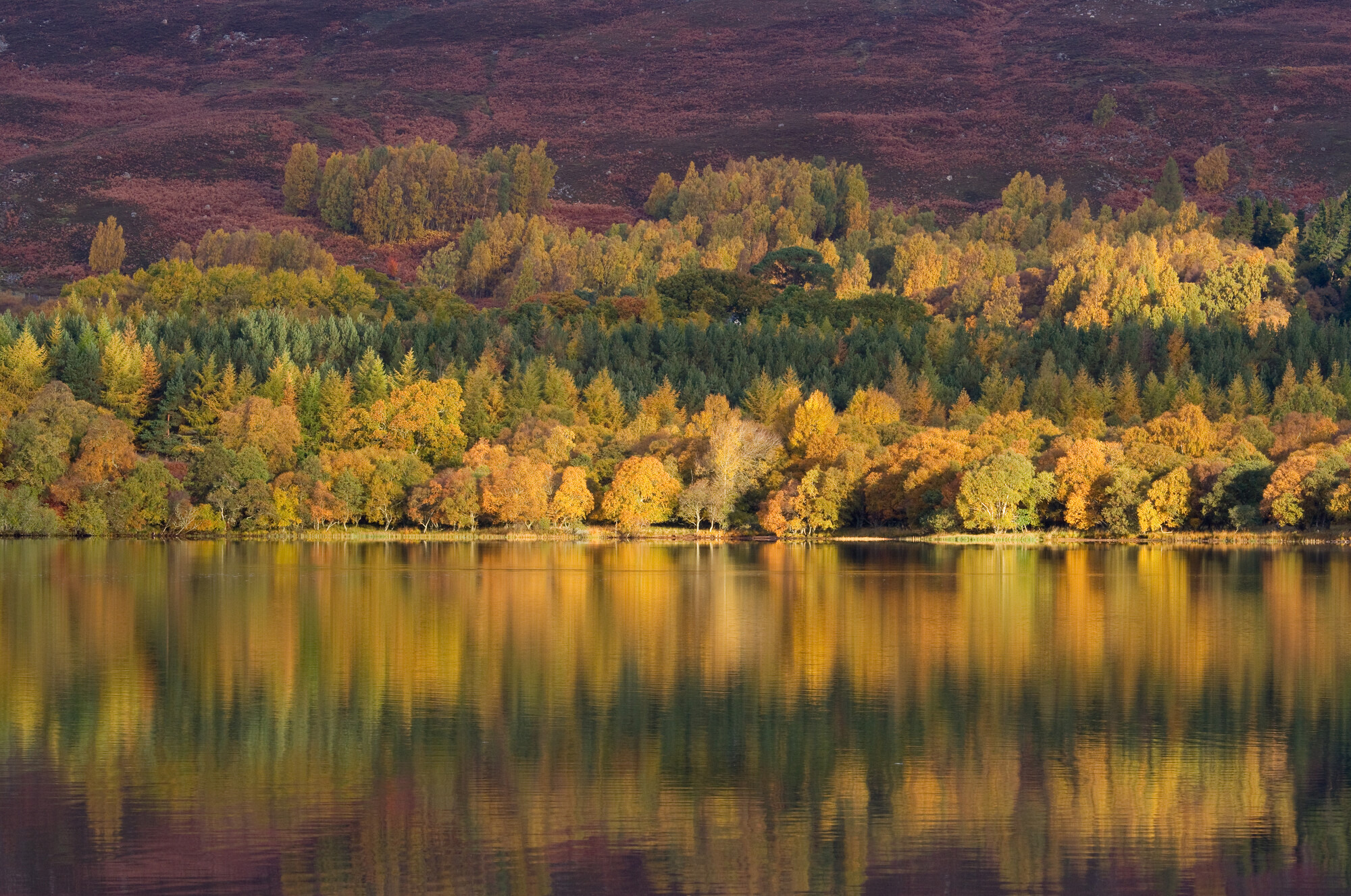 cairngorms national park autumn scotland