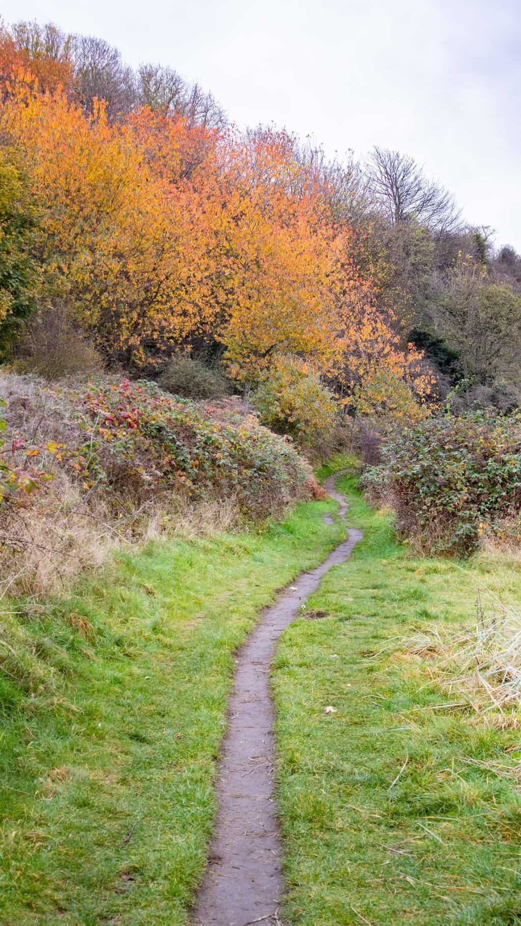 fife coastal path scotland autumn