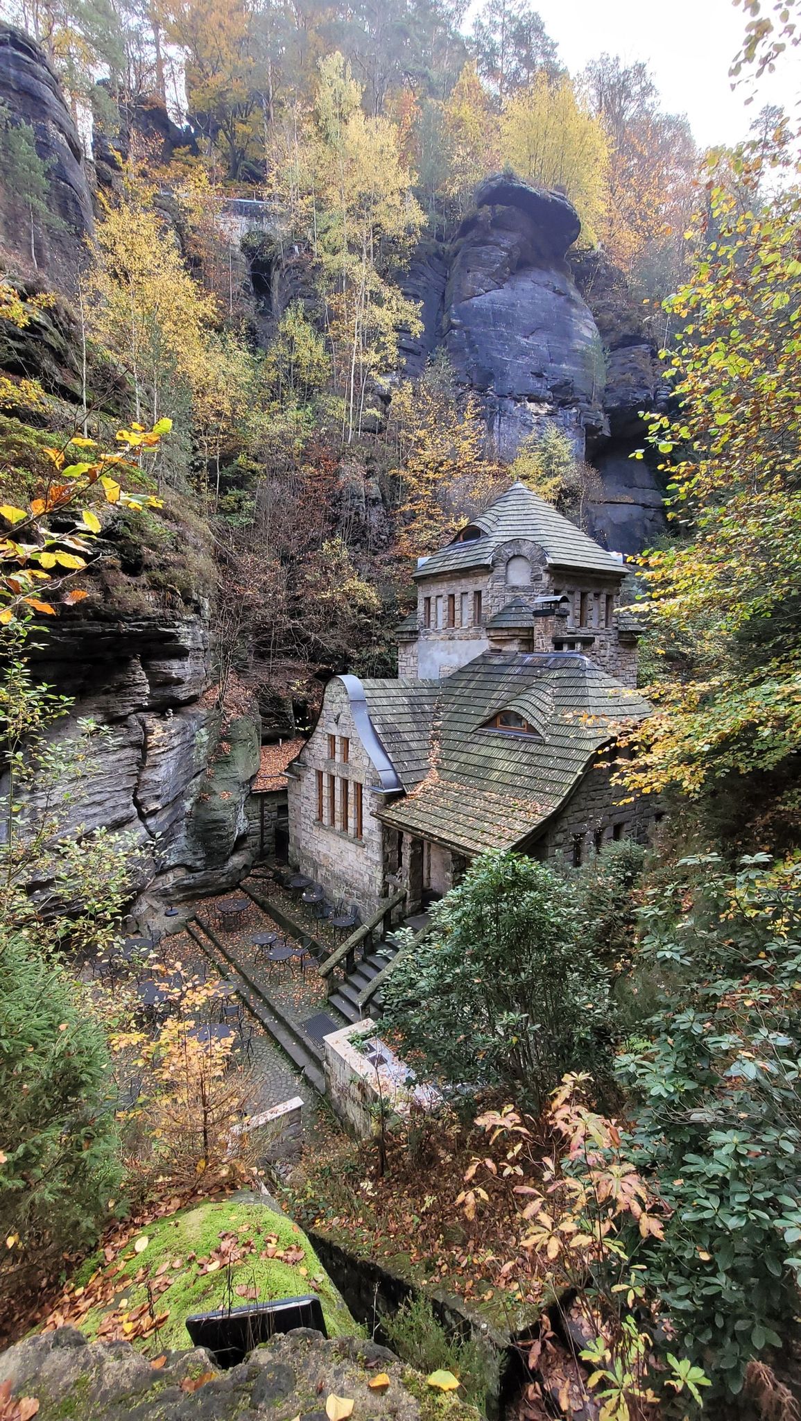 european autumn foliage fall colors