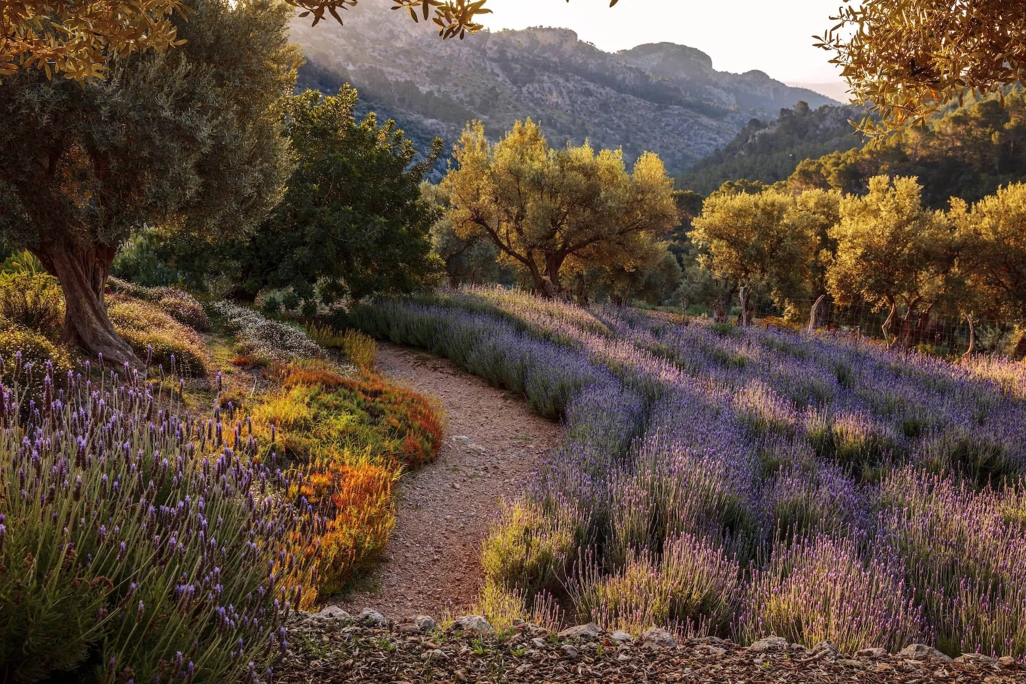 mallorca tramuntana mountains autumn