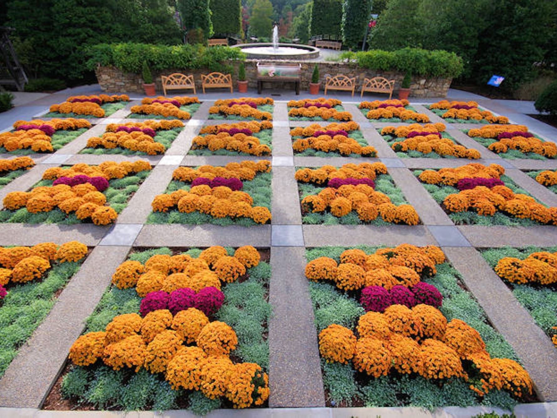 north carolina arboretum asheville fall