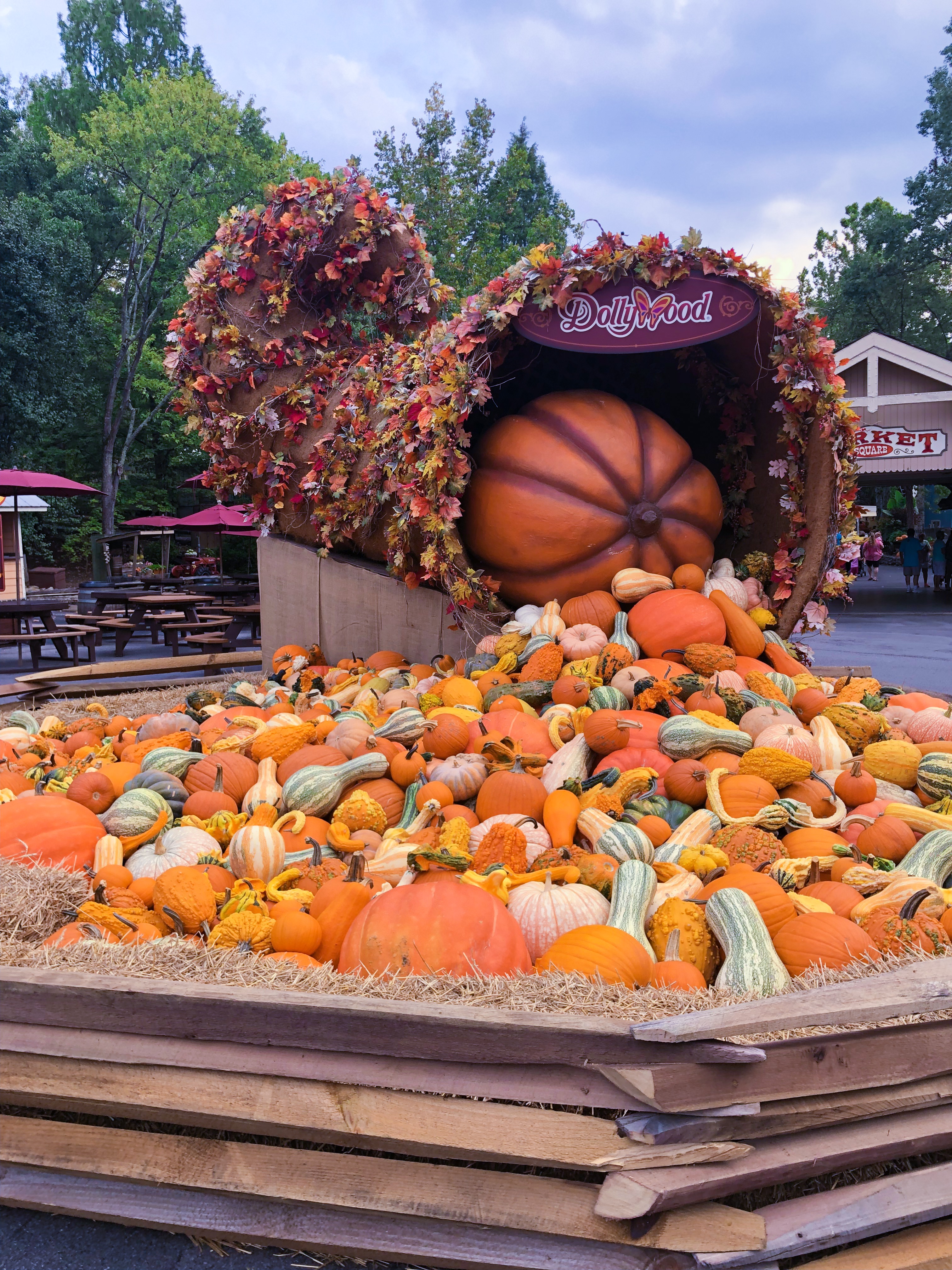 Dollywood Harvest Festival pumpkins fall
